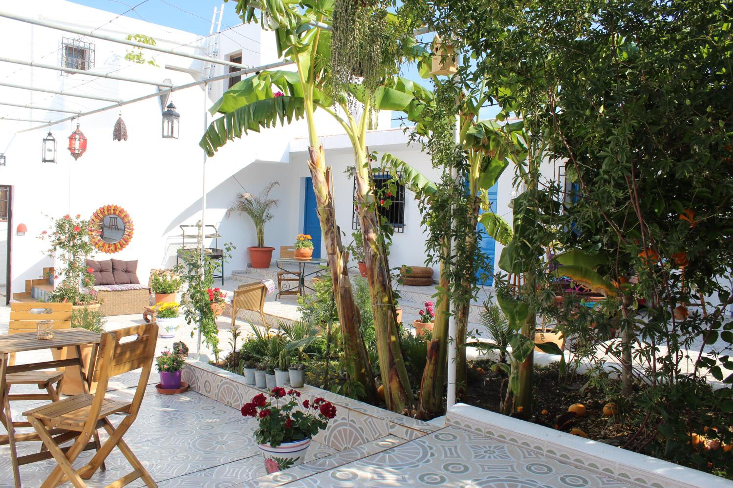 Double Room with Patio photo 3