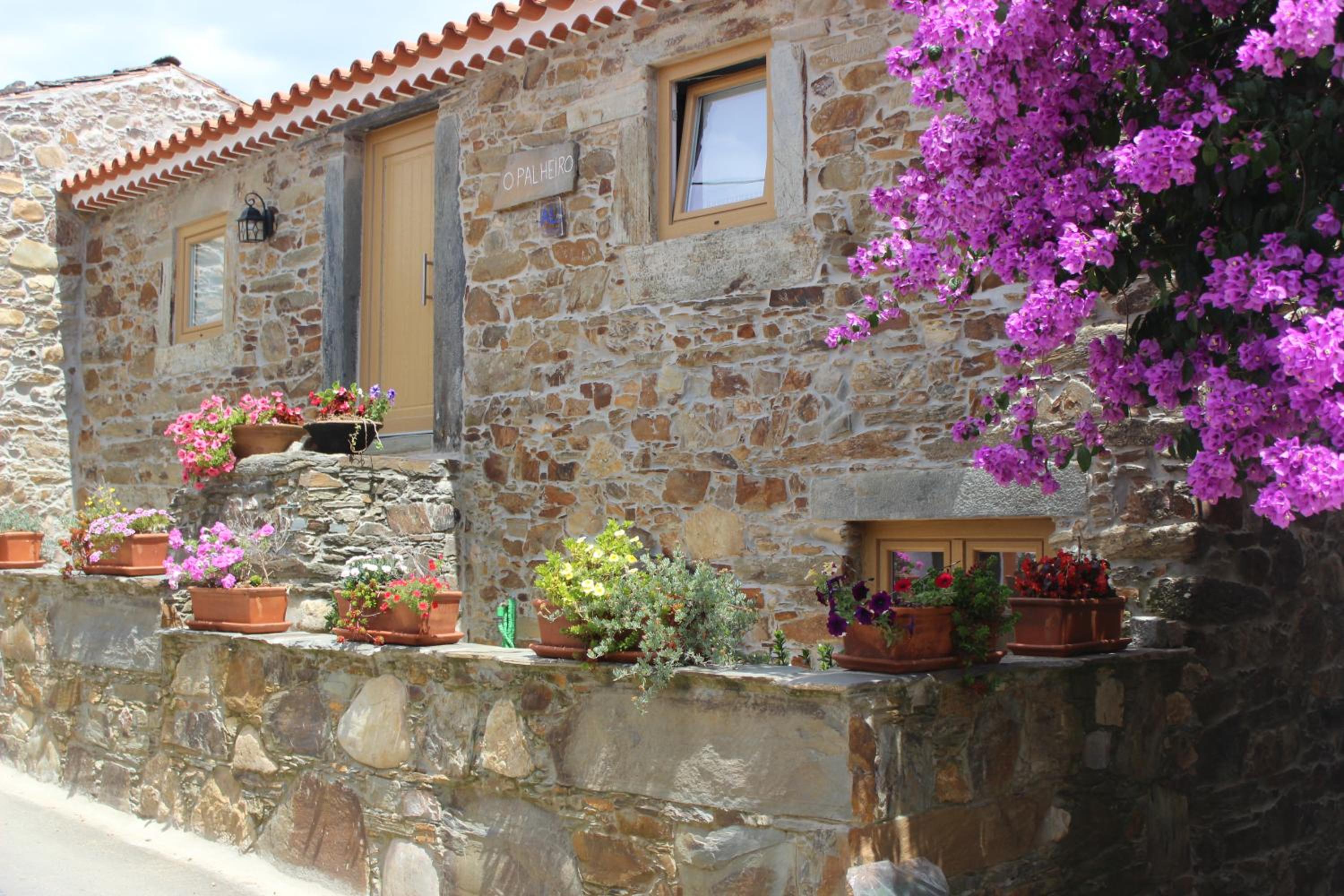 Three-Bedroom Villa - Photo 11