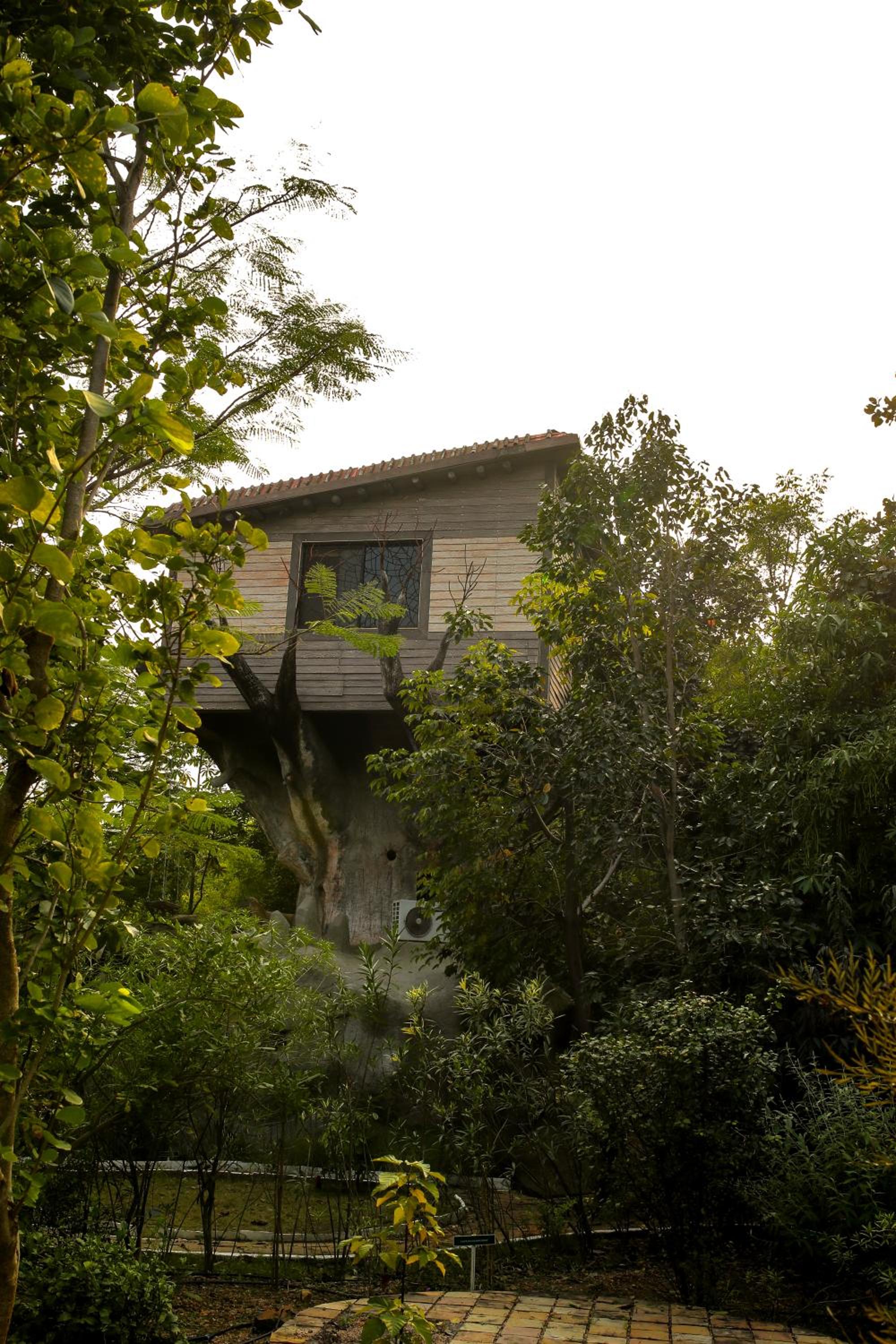 Tree House - Photo 9