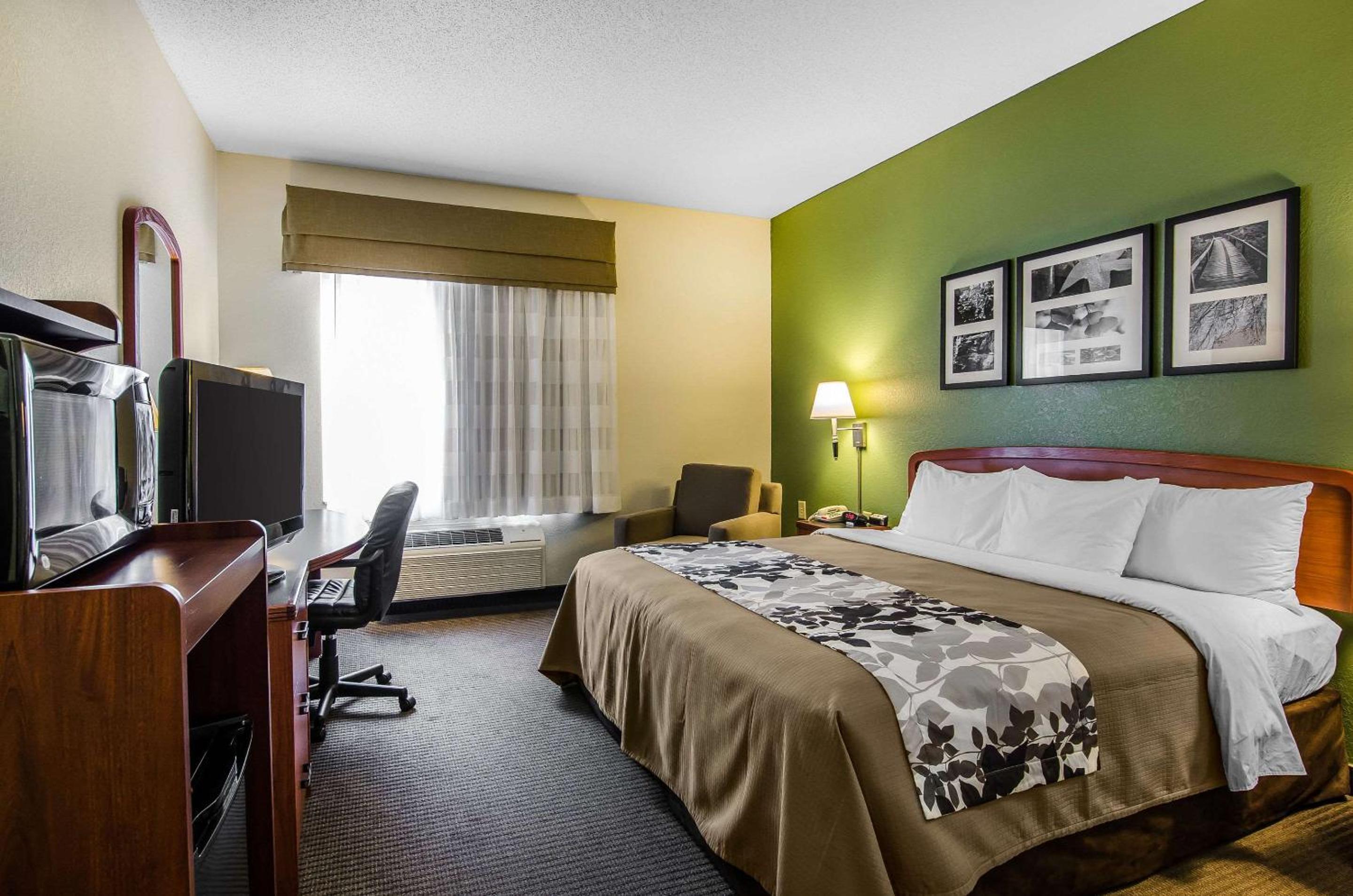 King Room - Photo 4
