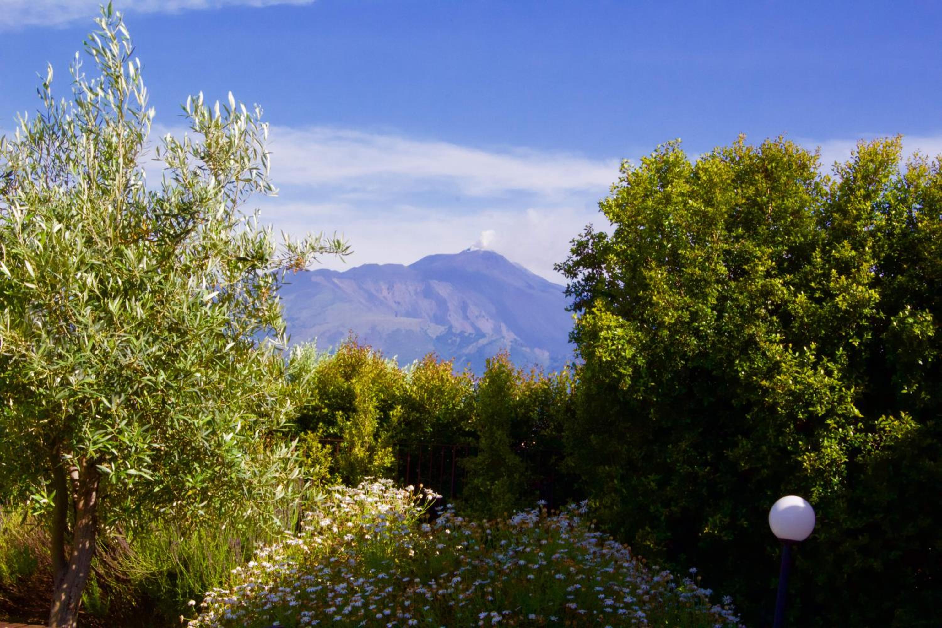Double or Twin Room with Mountain View photo 3