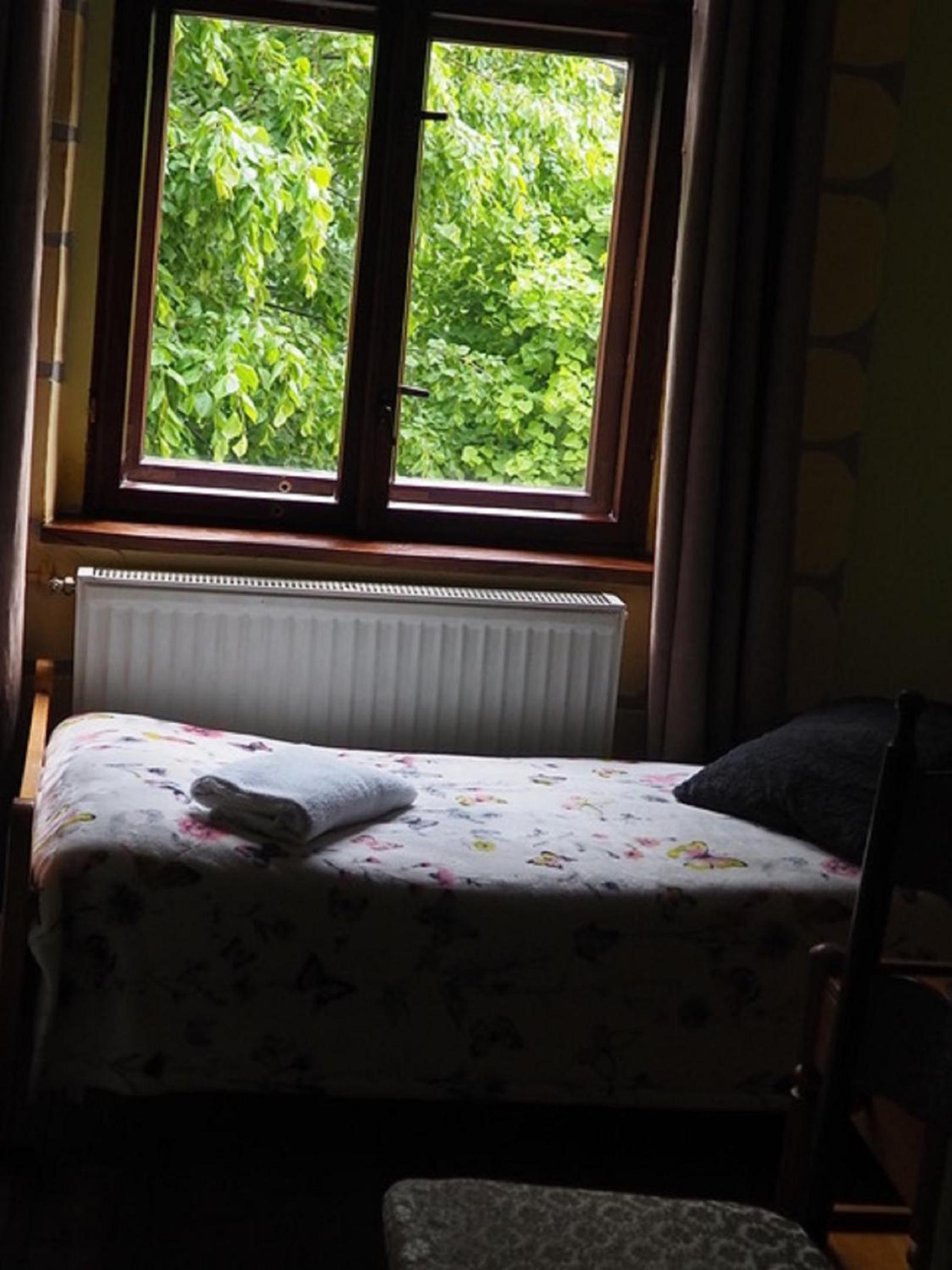 Standard Single Room with Mountain View photo 3