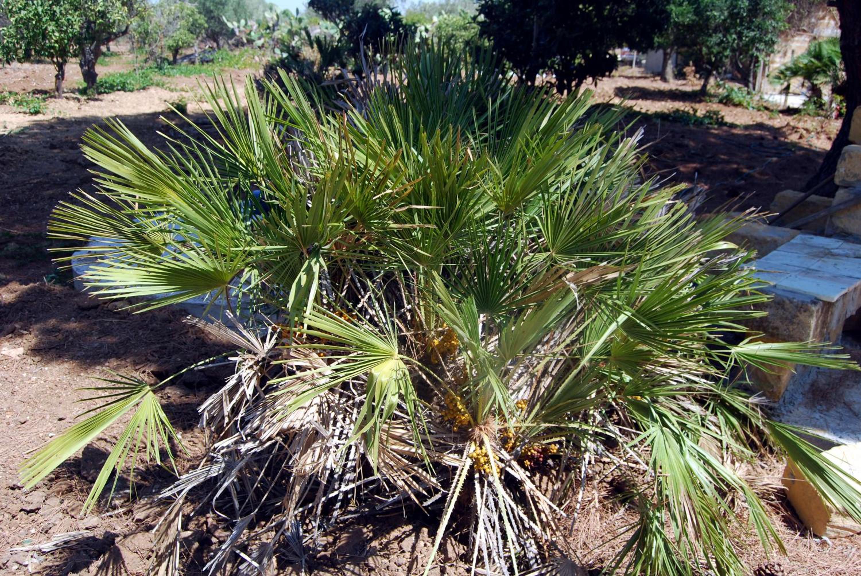 Two-Bedroom House photo 3