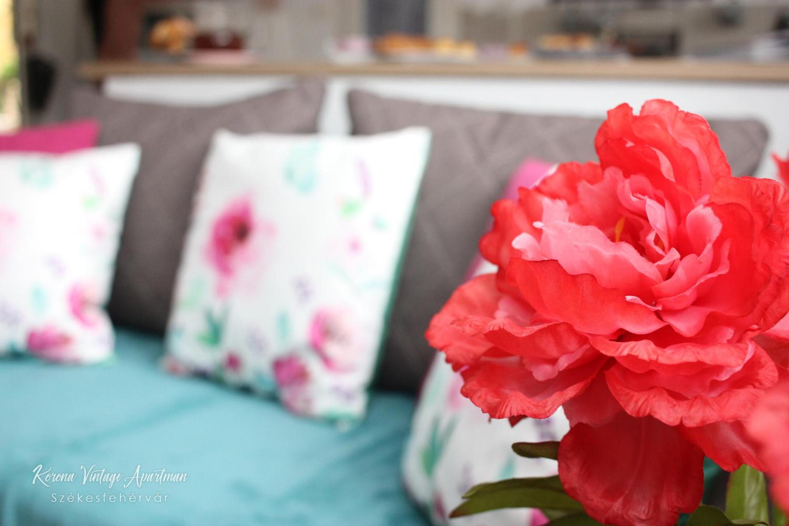 Studio Apartment - Photo 114