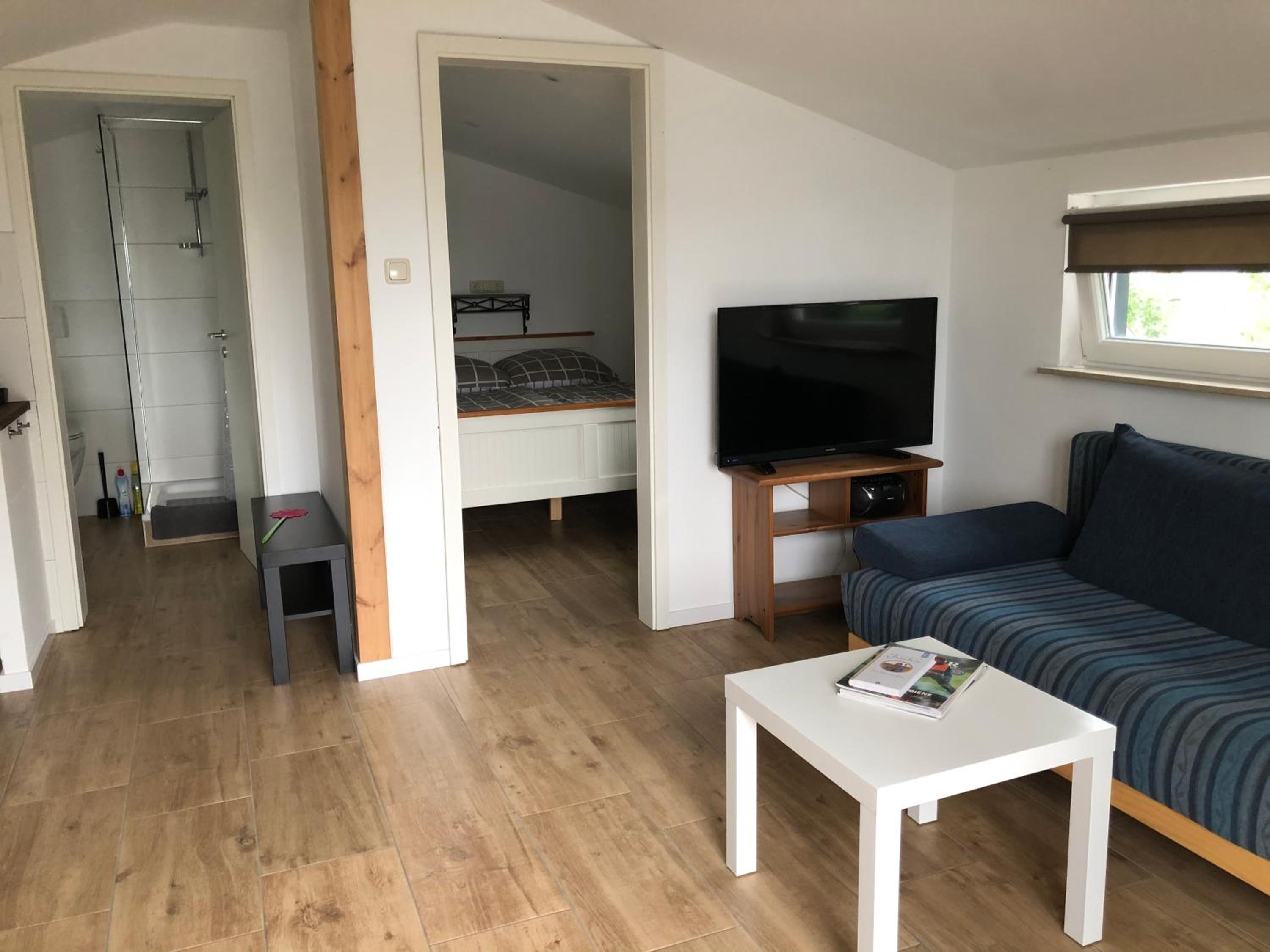 One-Bedroom Apartment photo 2