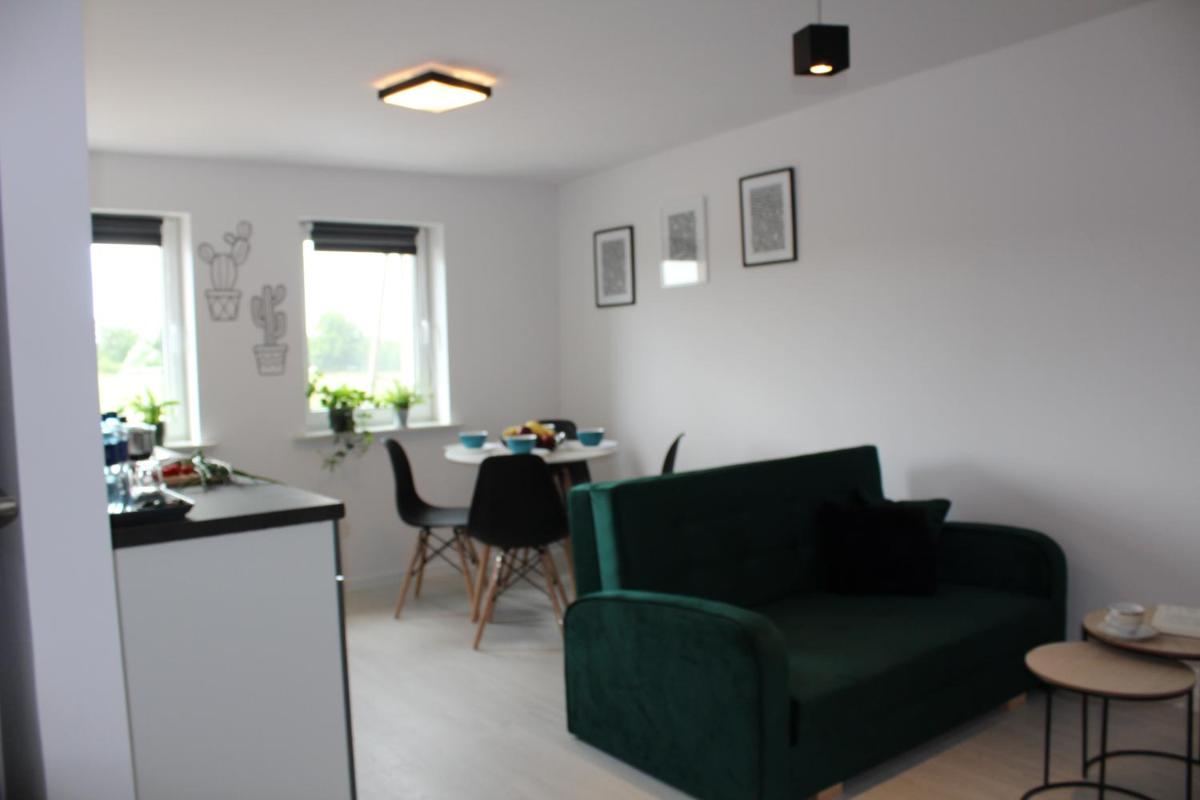 One-Bedroom Apartment photo 3