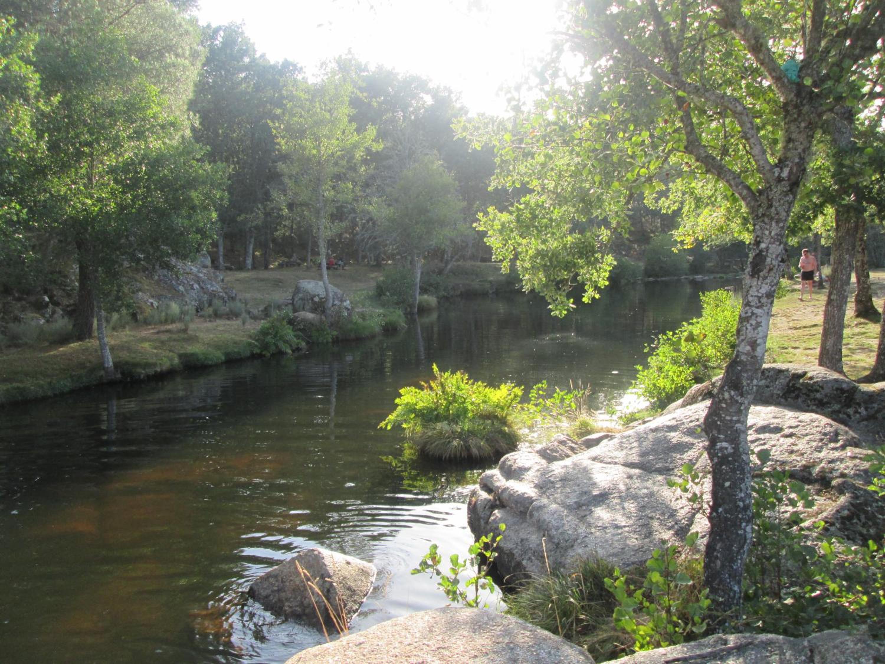 Vacation Home photo 3