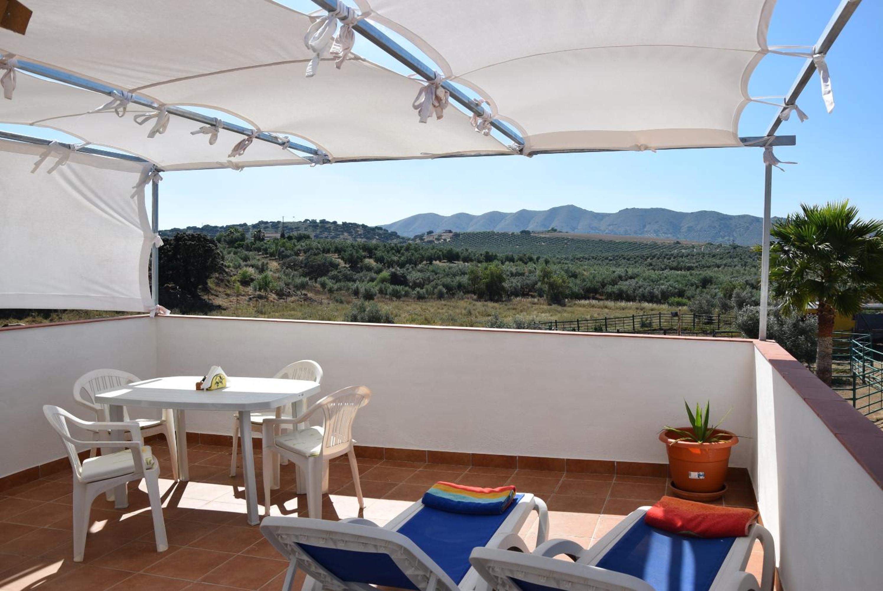 Apartment with Pool View  photo 3