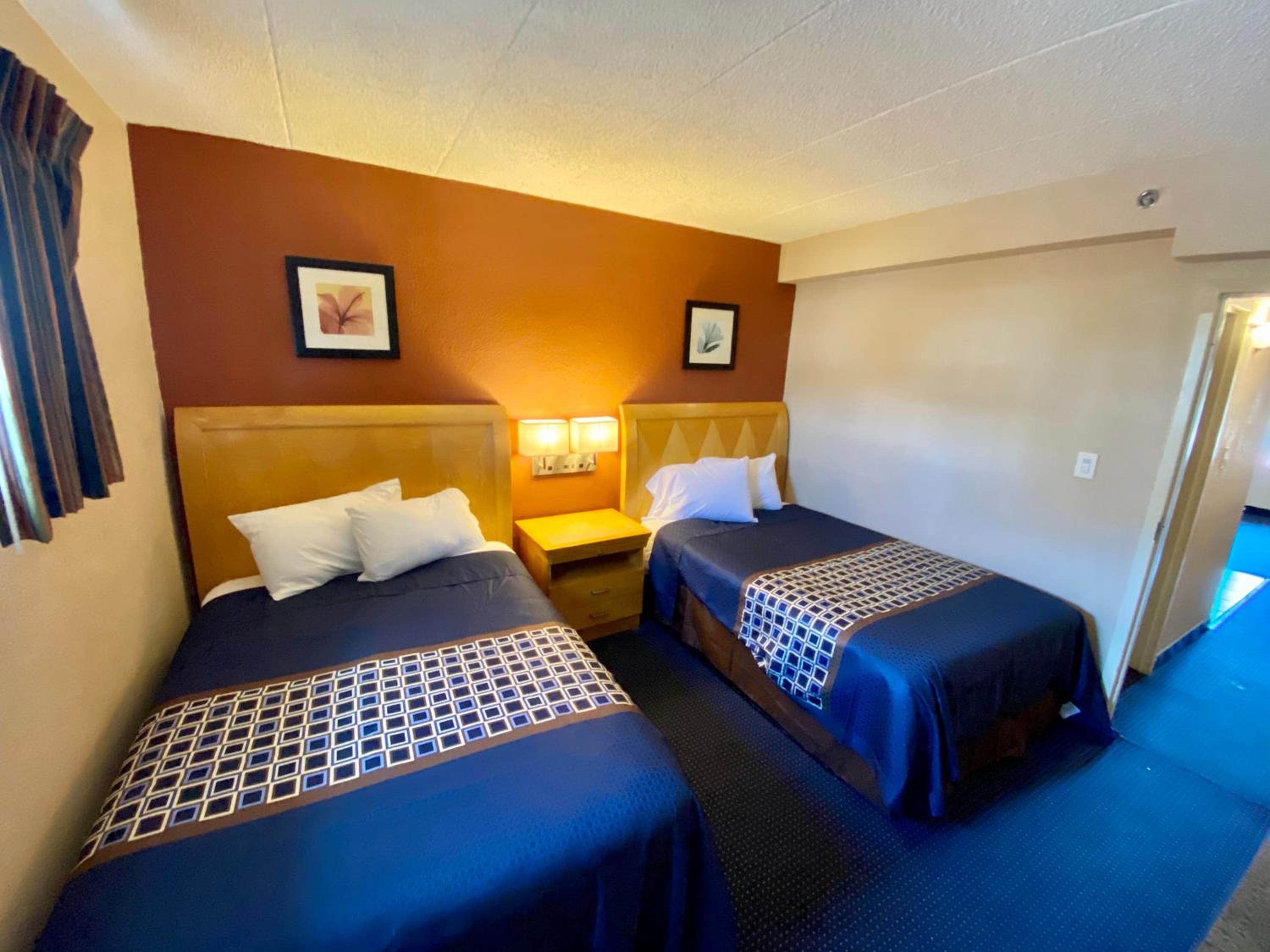 One-Bedroom Suite photo 2
