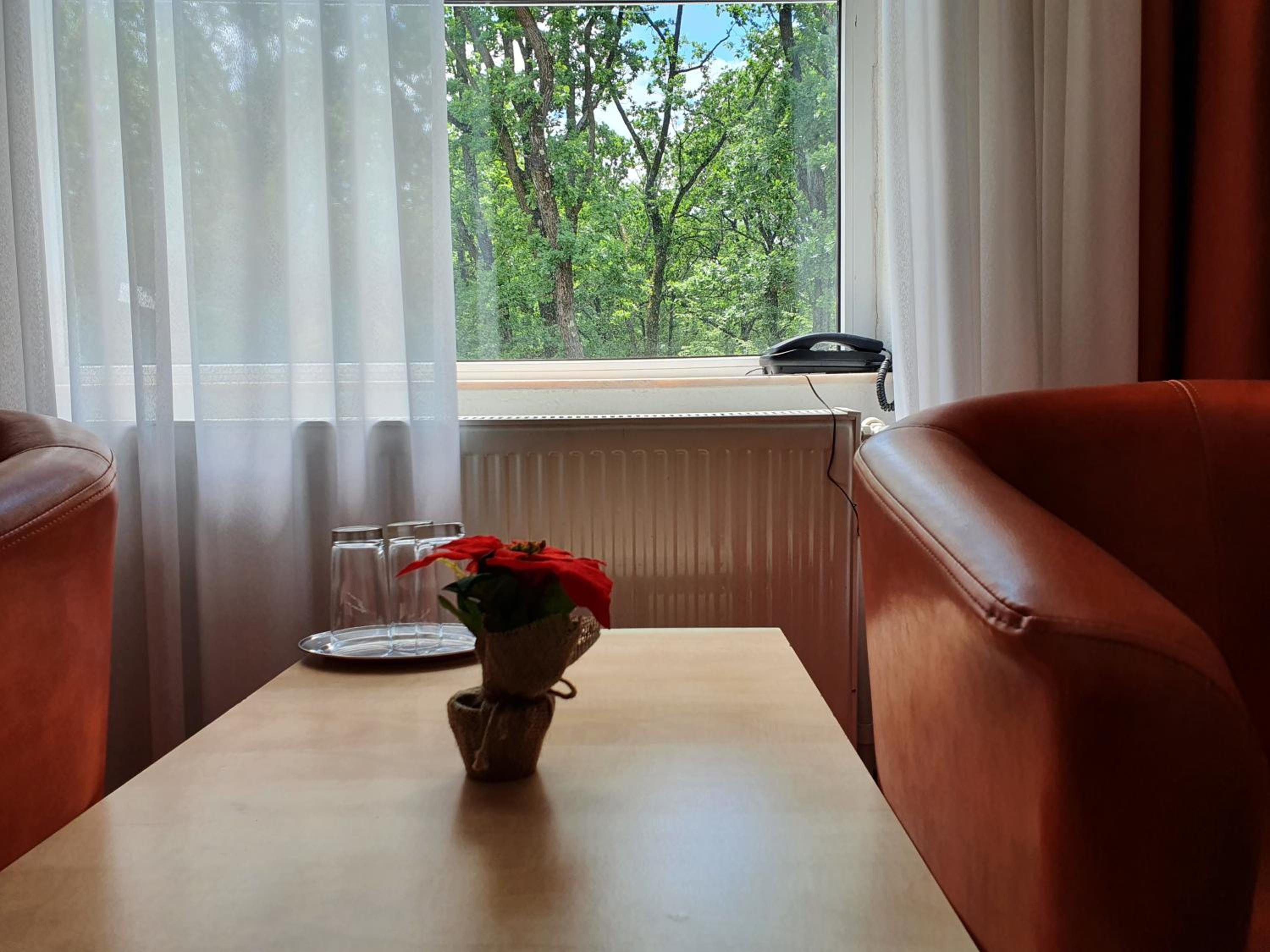 Twin Room - Photo 2