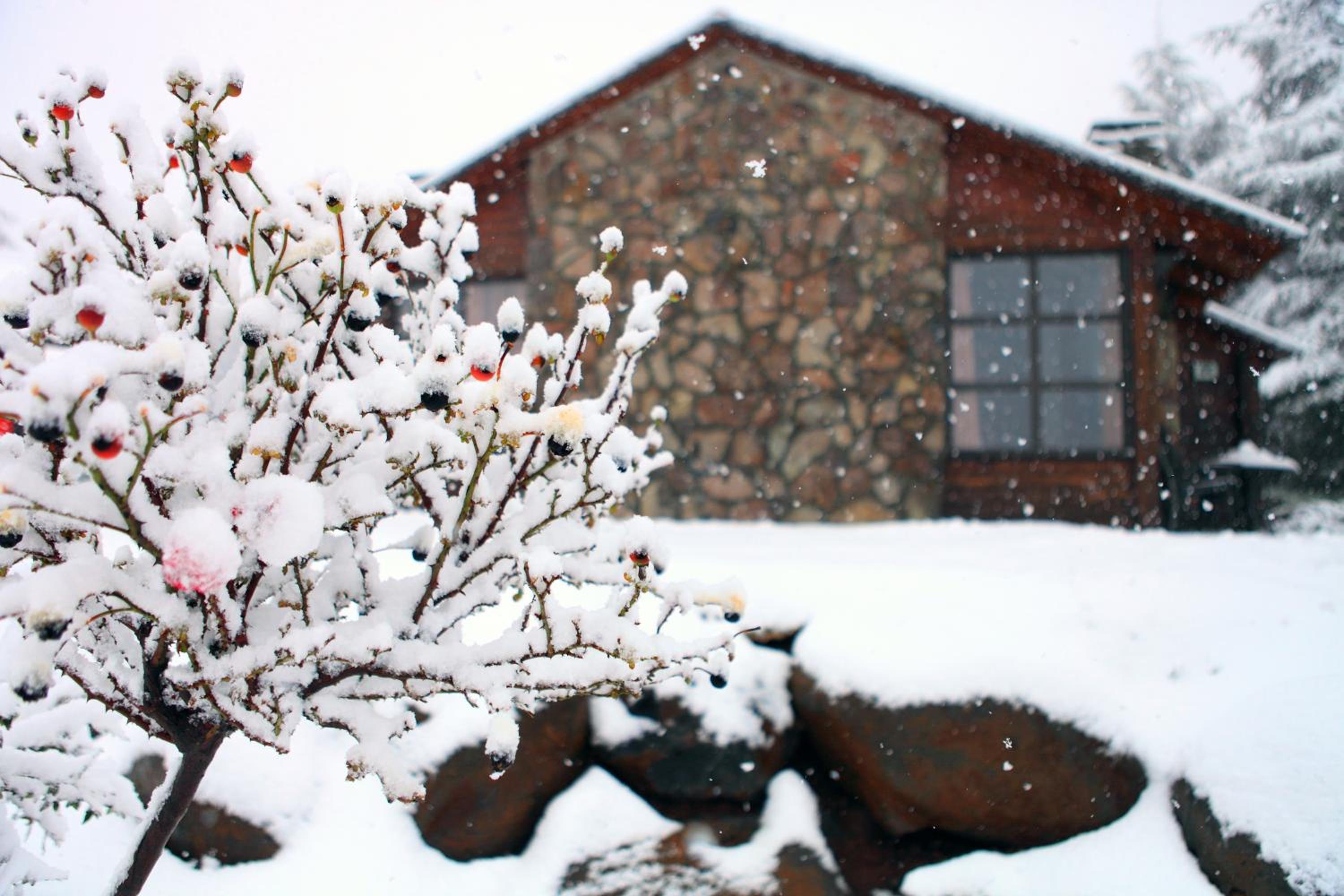 Chalet - Photo 4