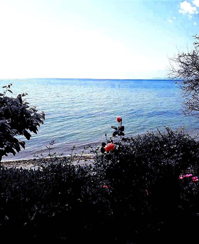 Studio Apartment with Sea View photo 1