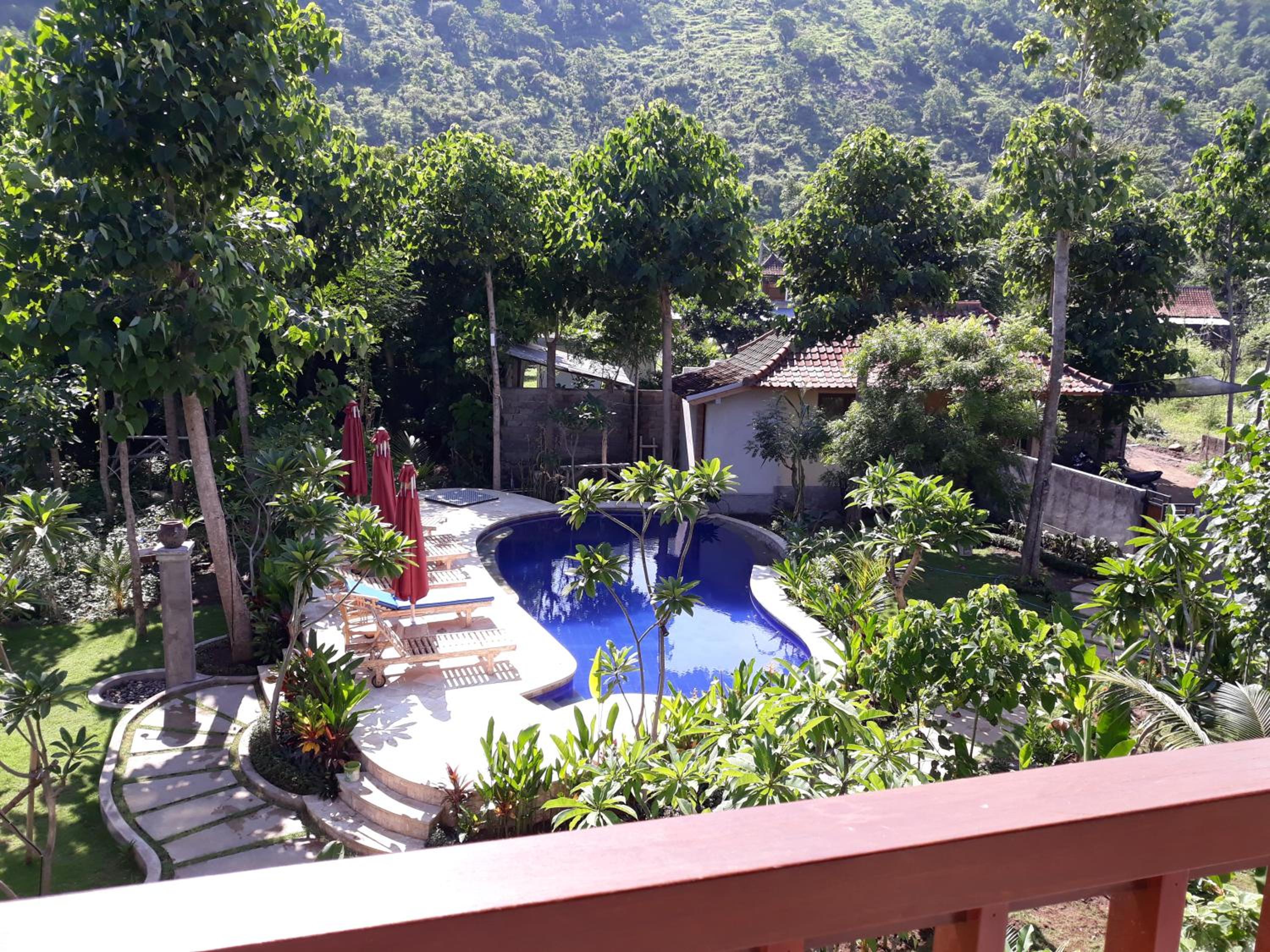 Studio with Pool View - Photo 9