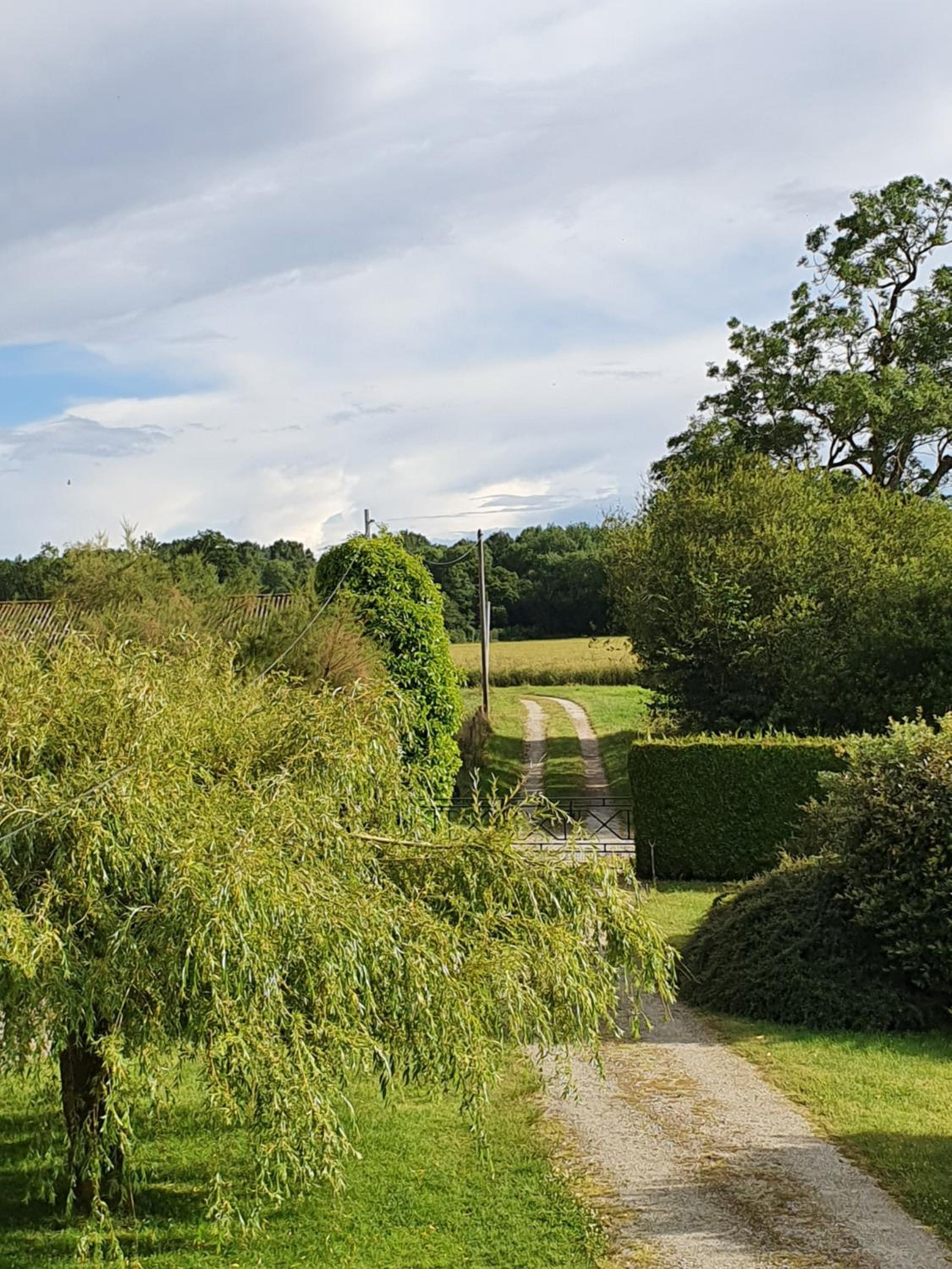 King Room with Garden View - Photo 2