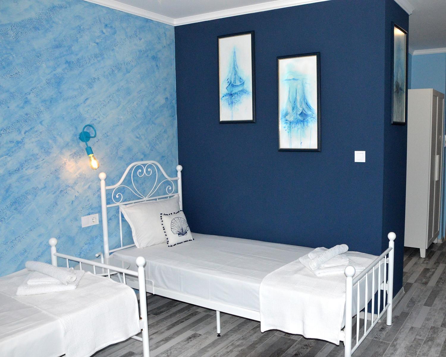 Deluxe Twin Room photo 1