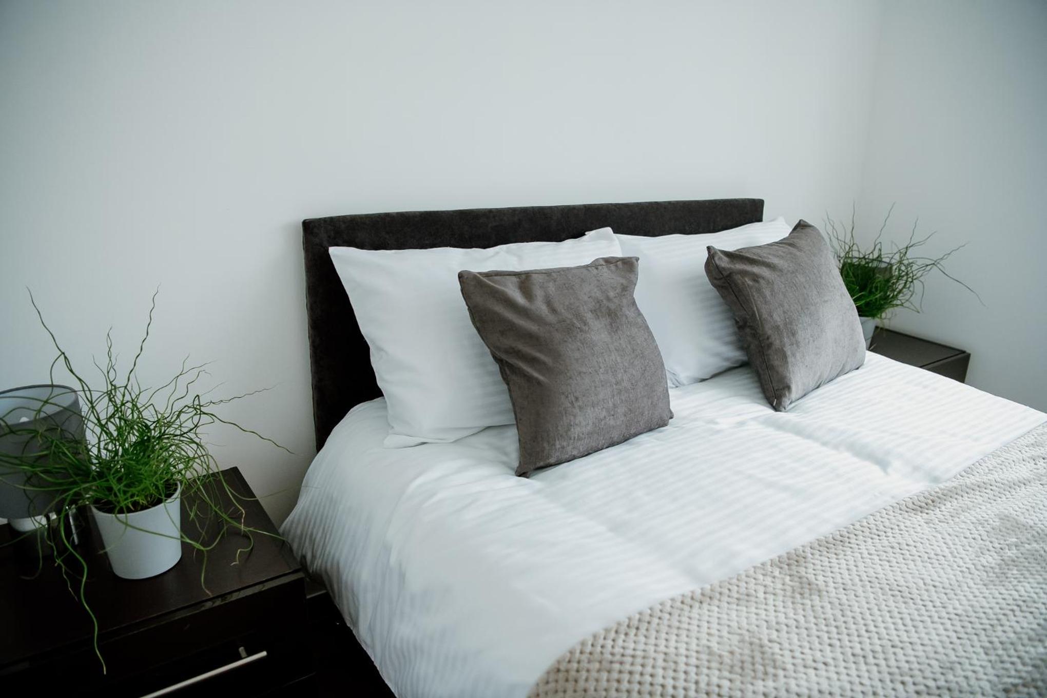 Two-Bedroom Apartment - Photo 4