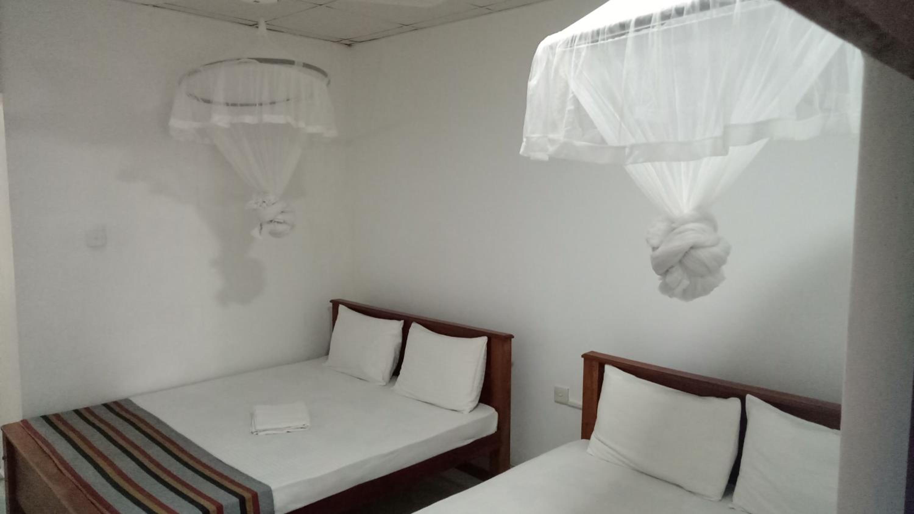 Deluxe Double or Twin Room photo 2