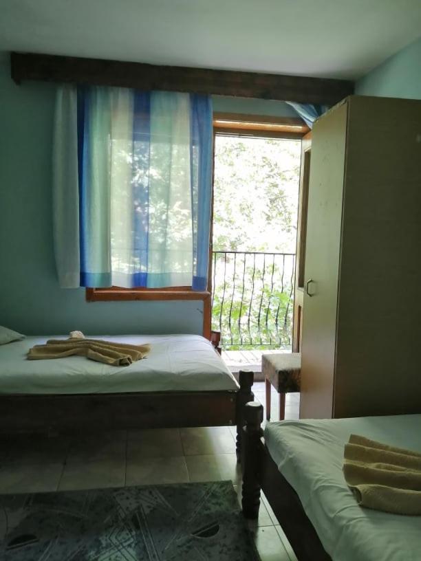 Single Room with Terrace