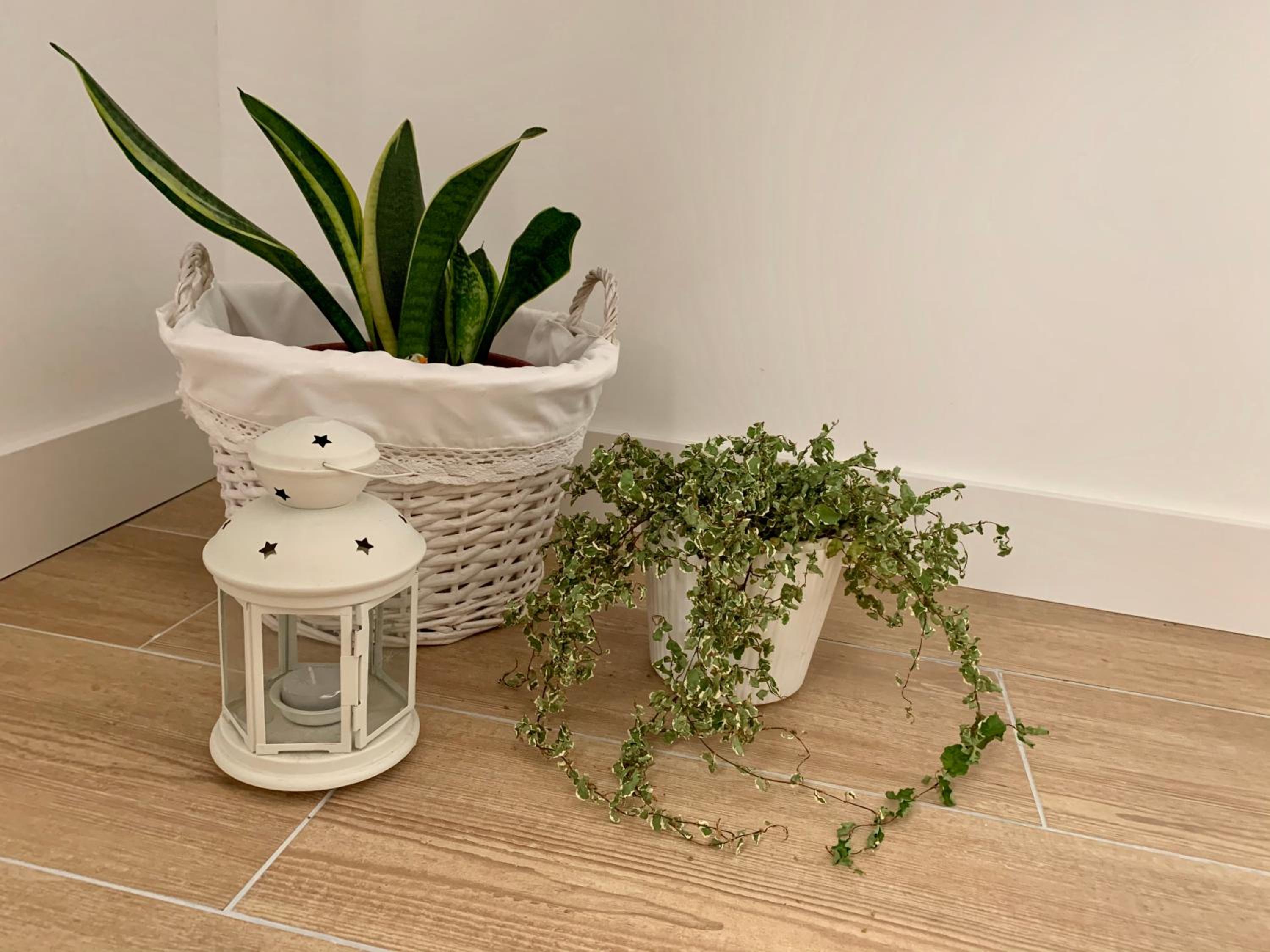 One-Bedroom Apartment with Balcony - Photo 15
