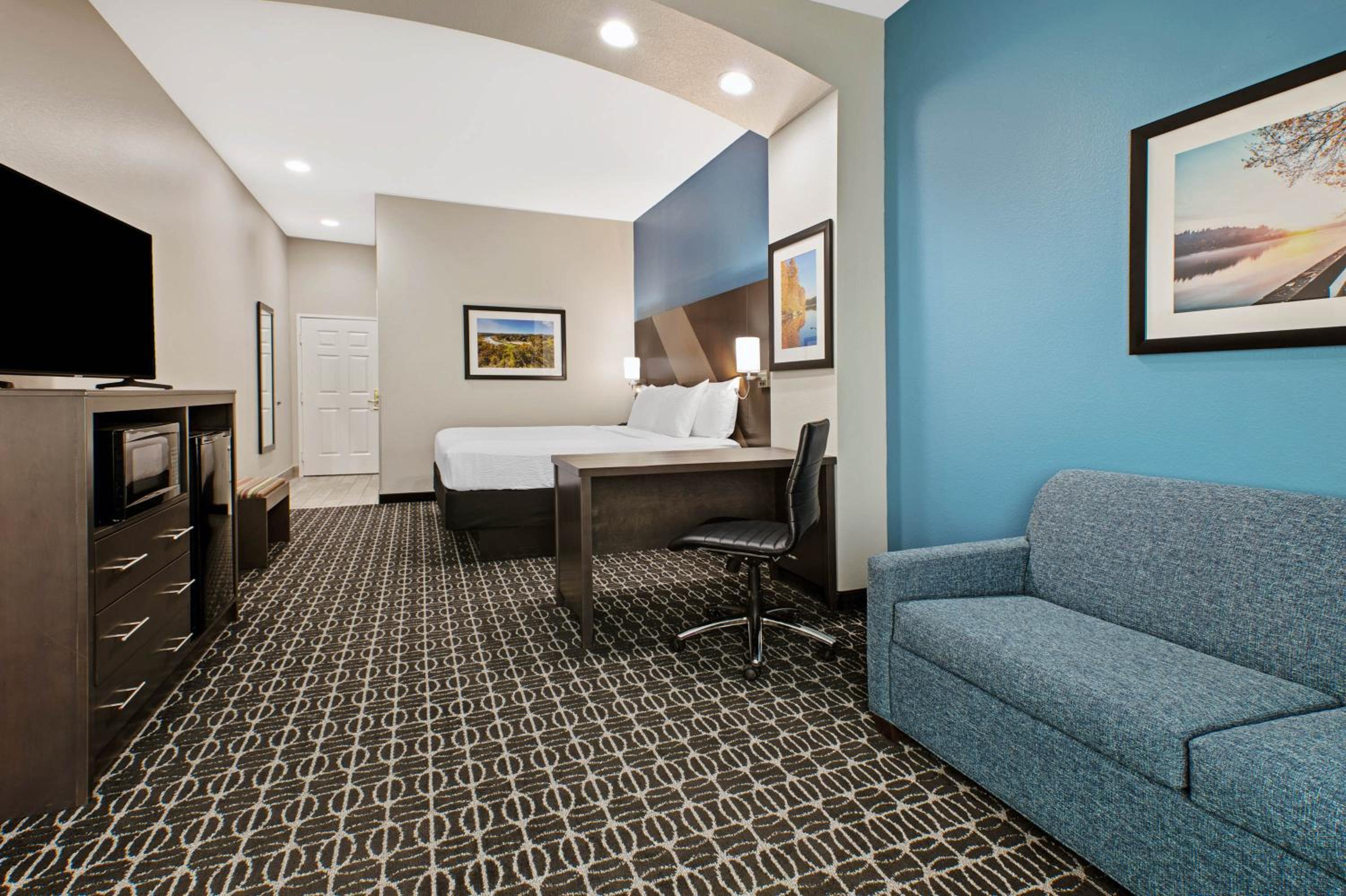 Deluxe King Suite - Photo 4