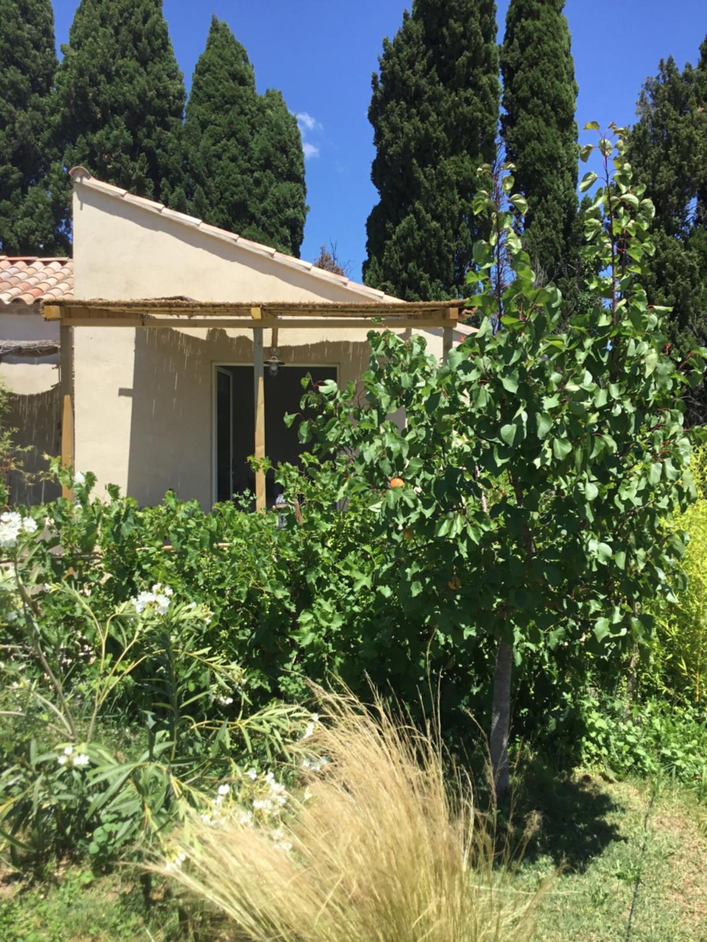 Double Room with Garden View photo 1
