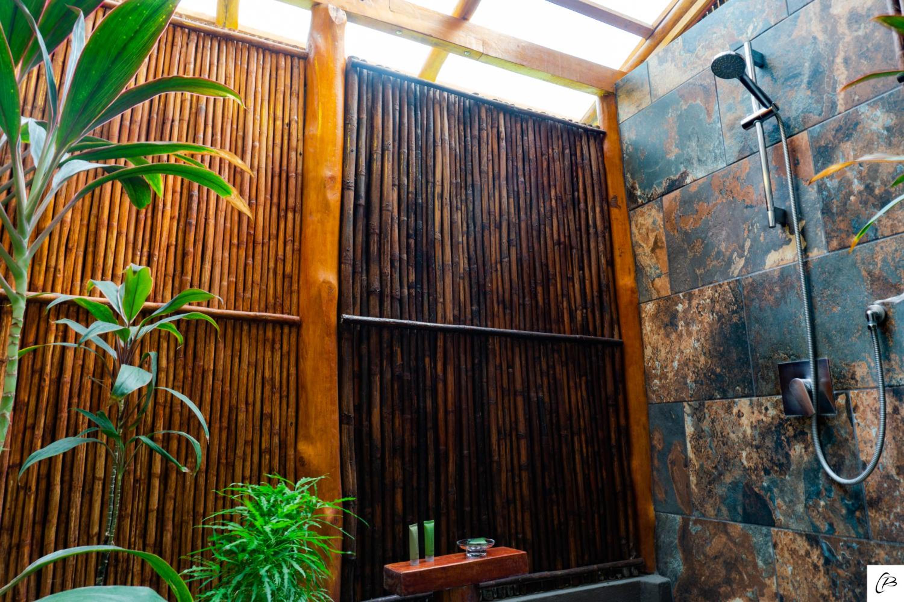 Superior King Room with Tropical Shower photo 3