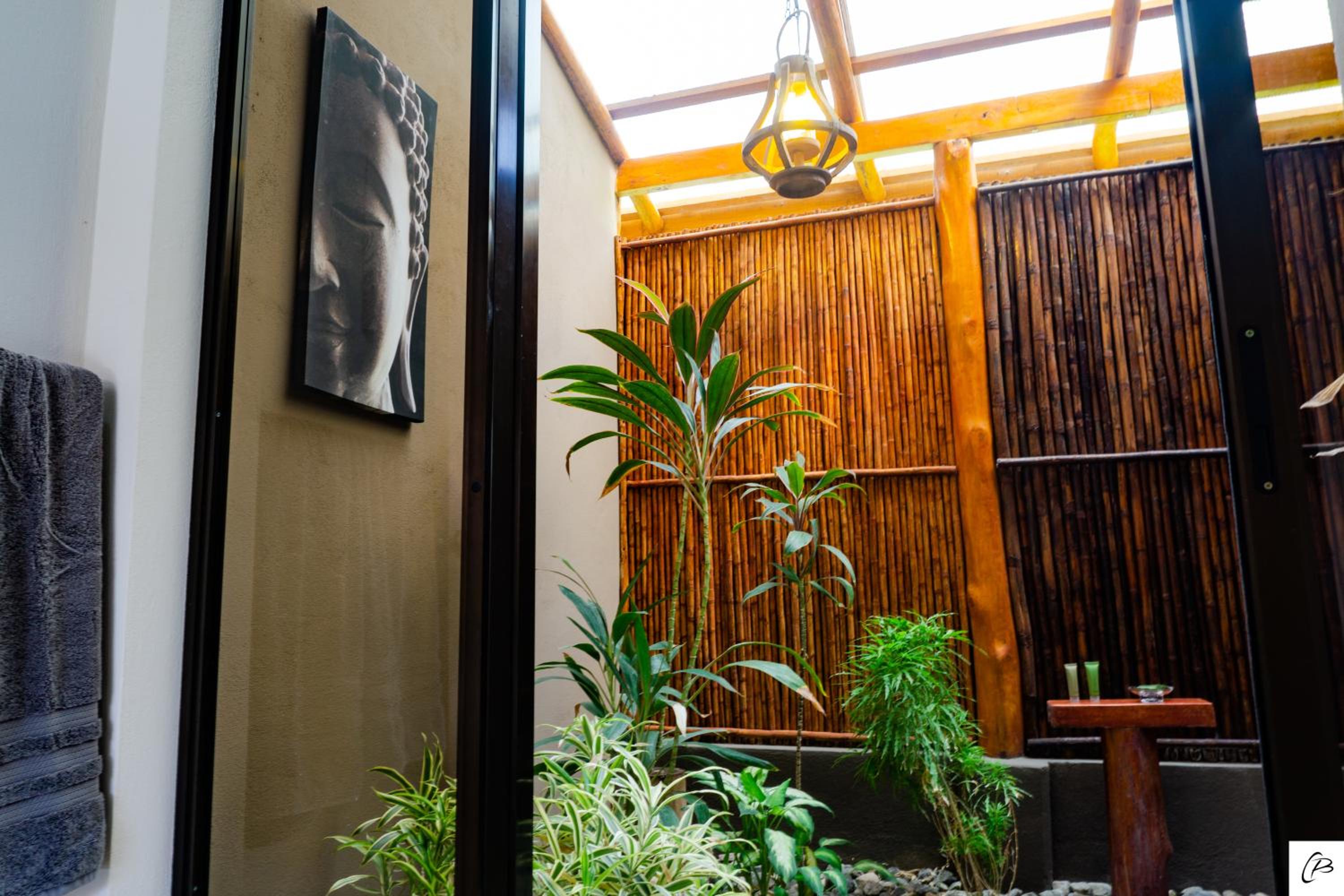 Superior King Room with Tropical Shower photo 2