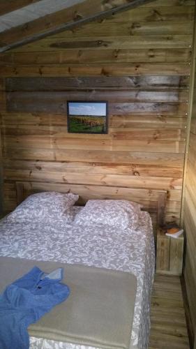 Two-Bedroom Chalet photo 1