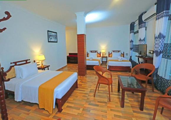 Deluxe Double or Twin Room