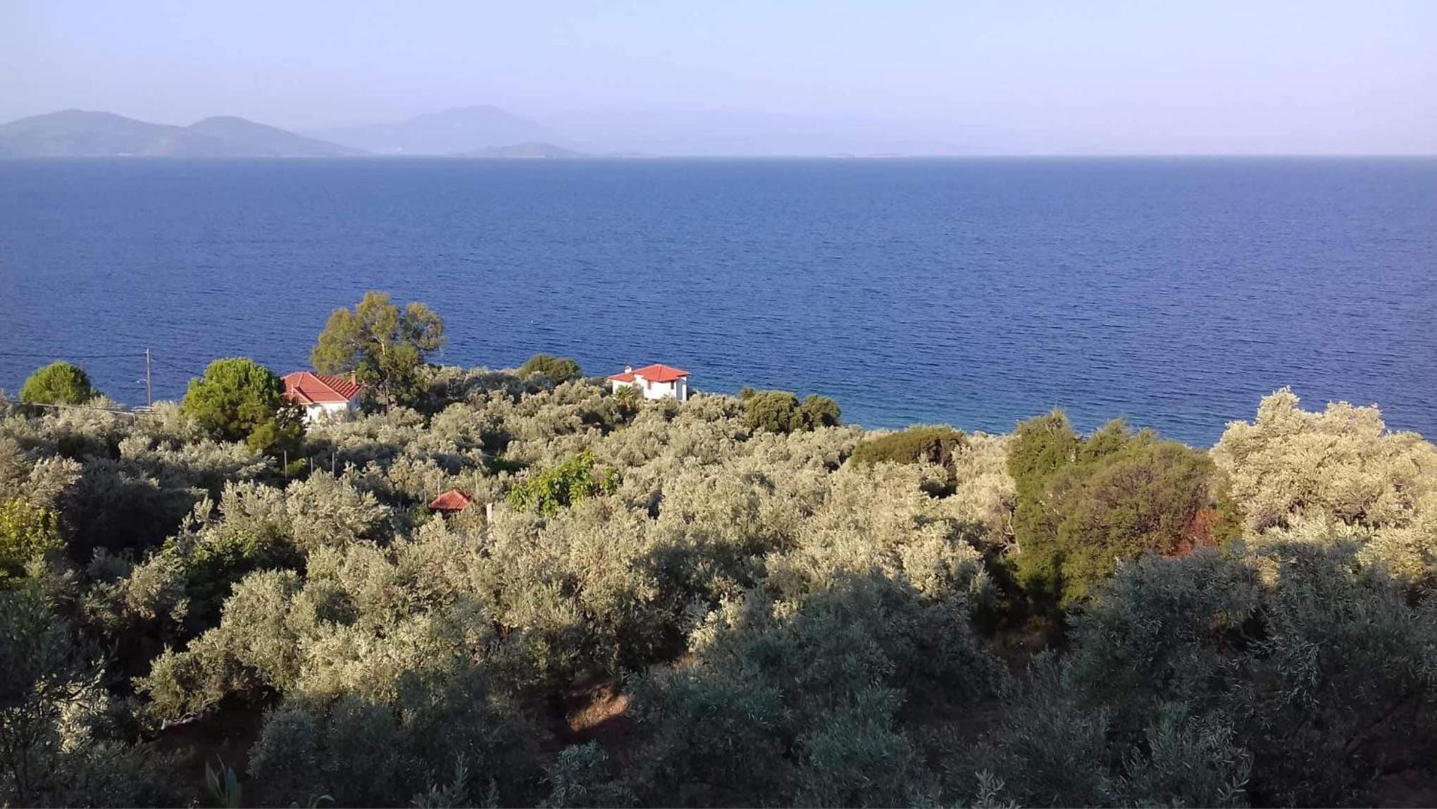 Apartment with Sea View photo 3