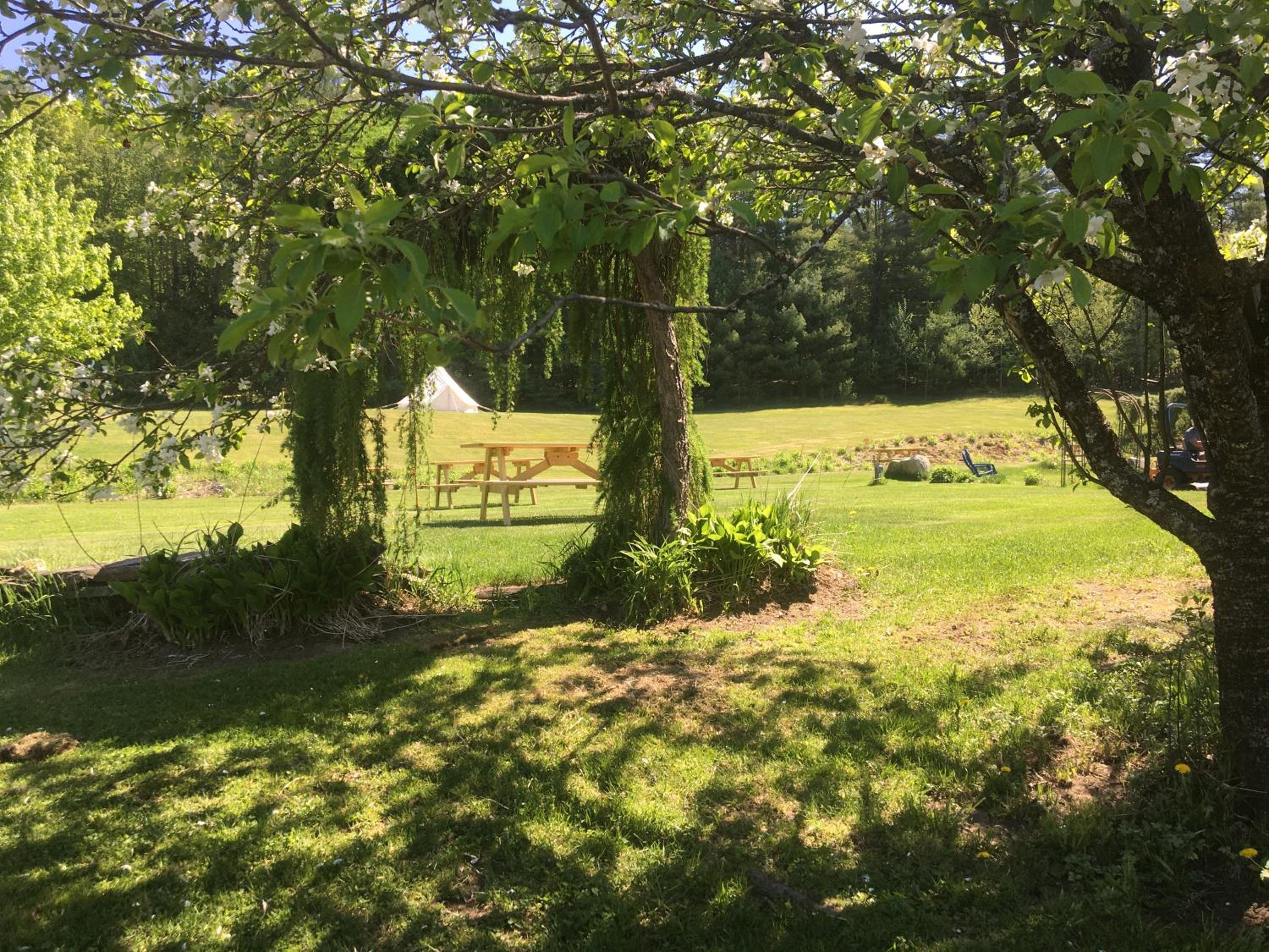 Tent - Photo 18