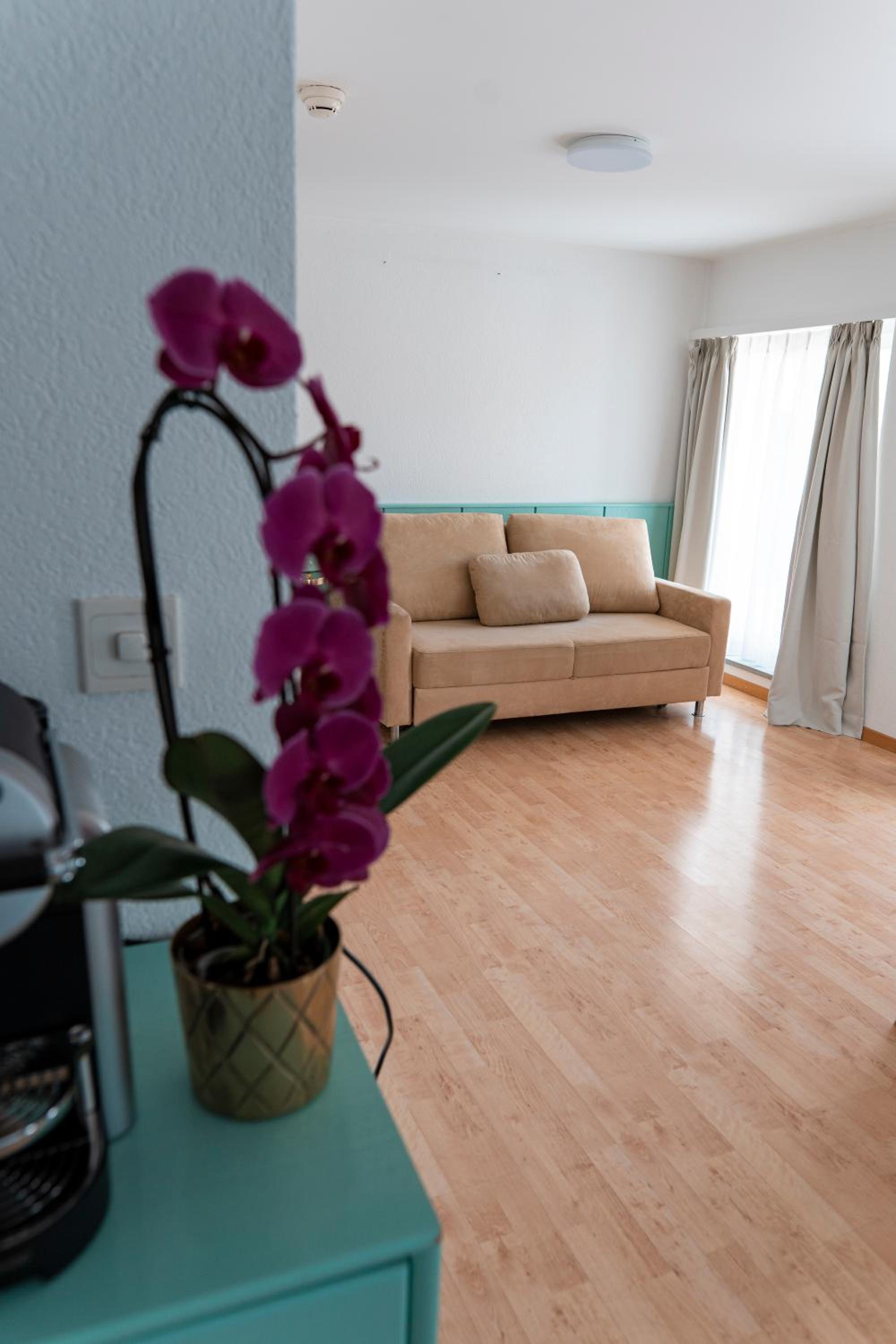 Superior Suite - Photo 5