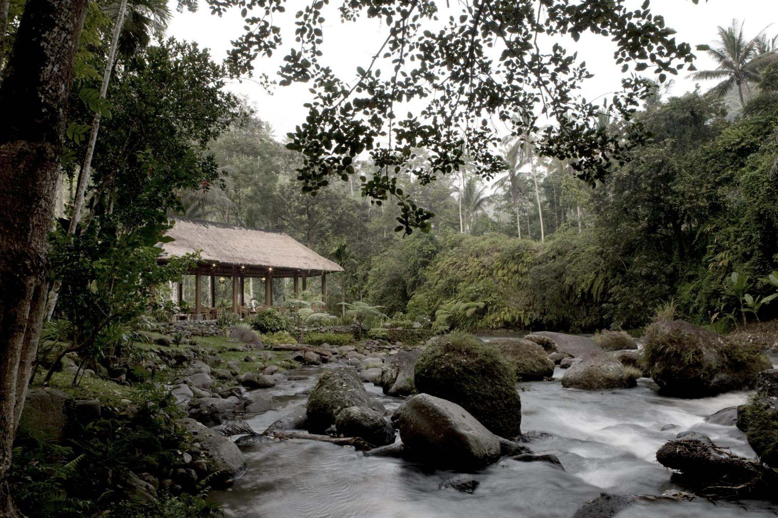 Healing Pool Villa with Daily 60-Minutes Massages