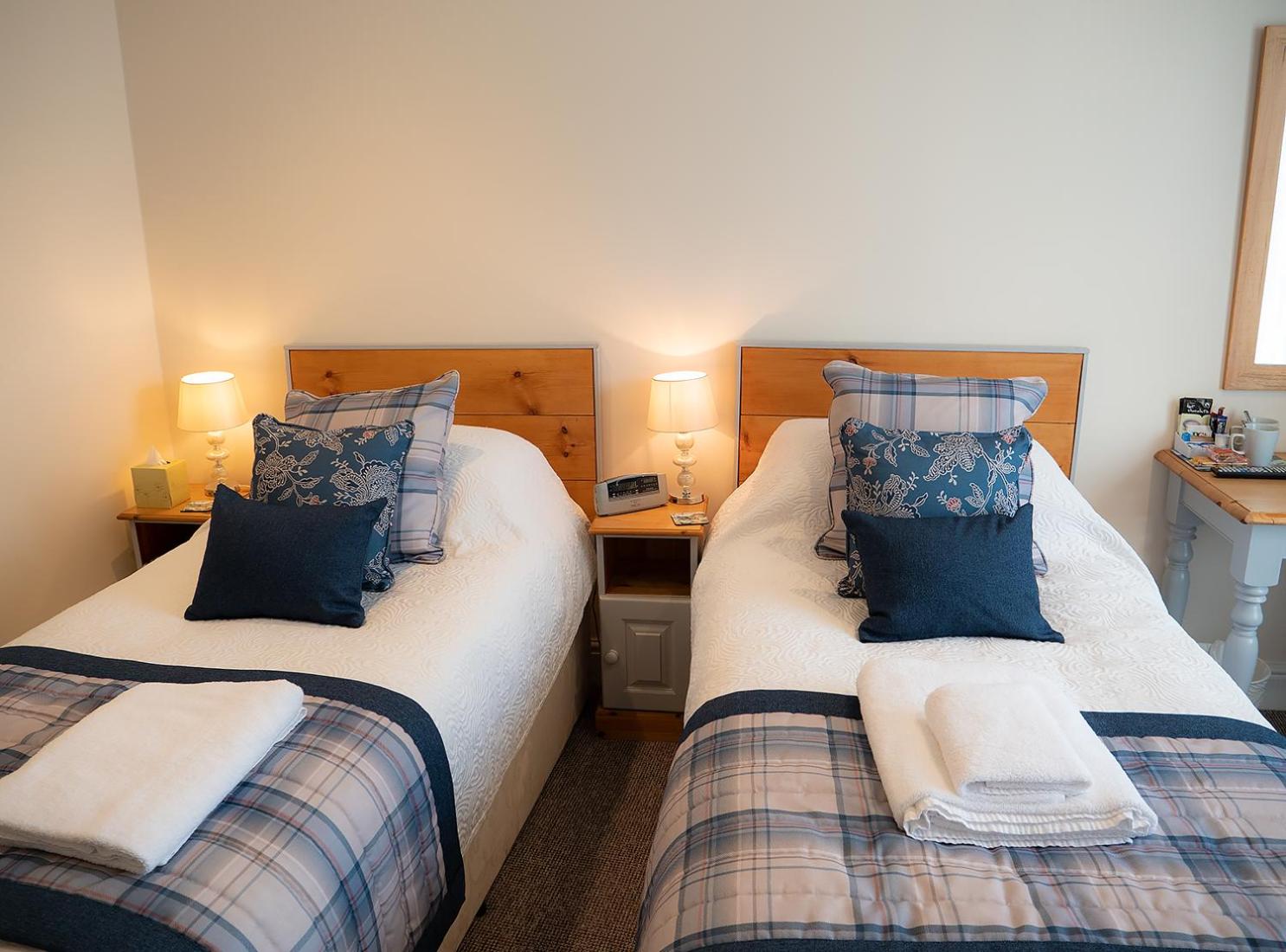 Twin Room photo 2