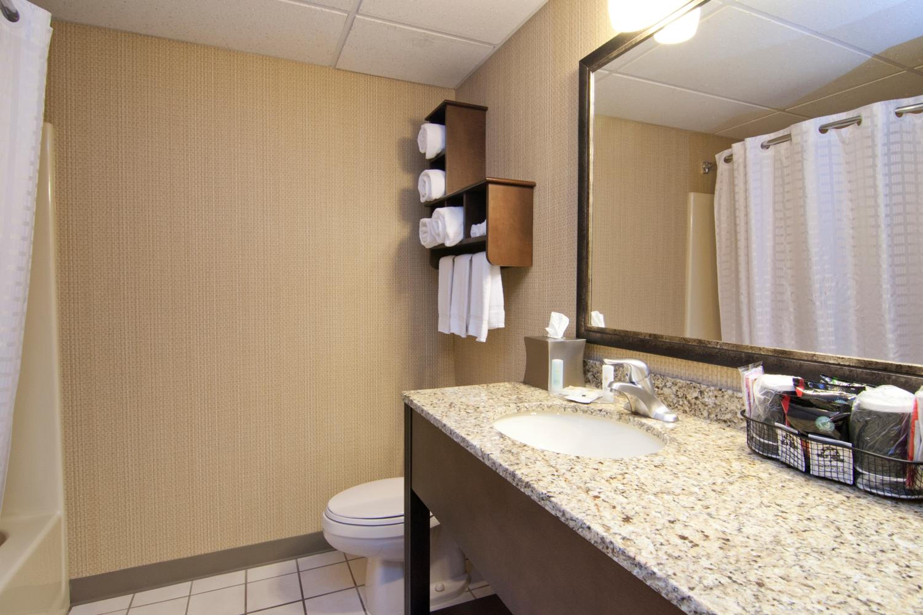 King Suite - Photo 6