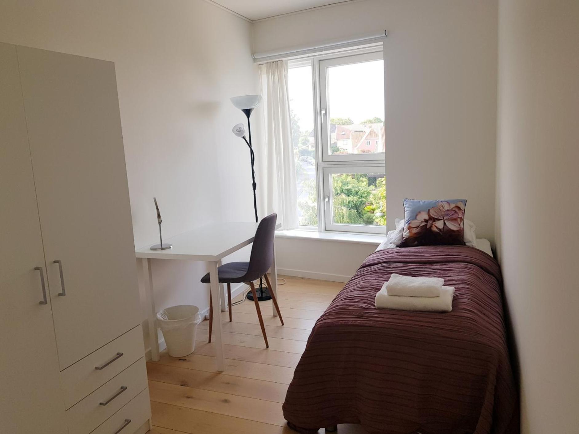 Single Room photo 2