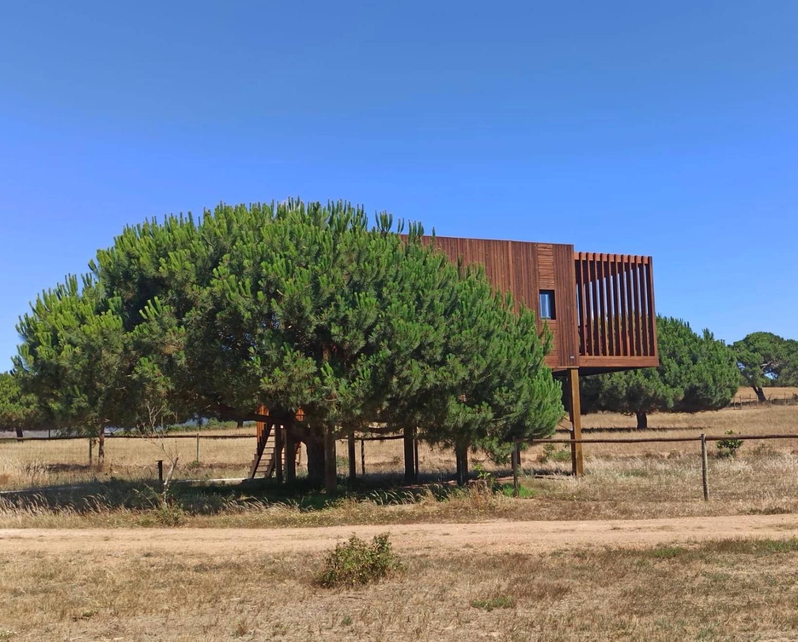 Bungalow - Photo 9