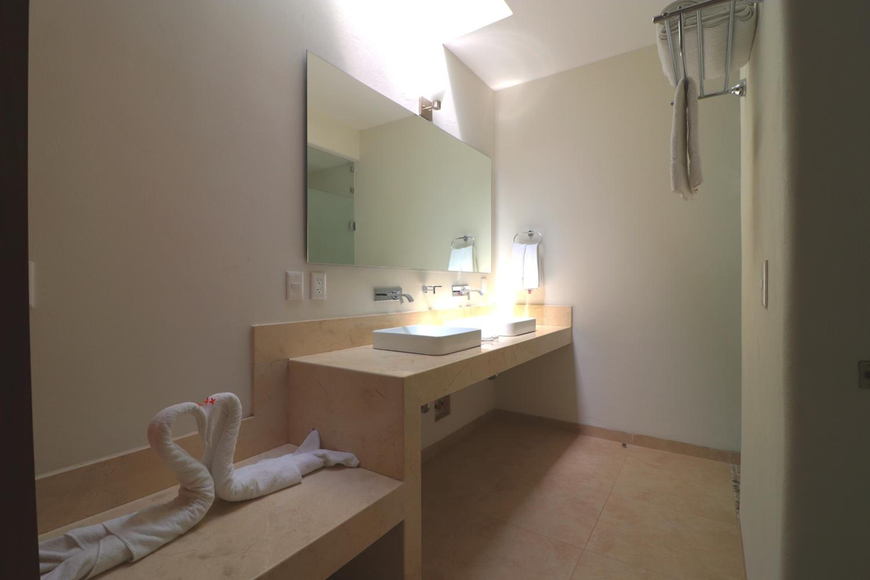Deluxe King Suite - Photo 9