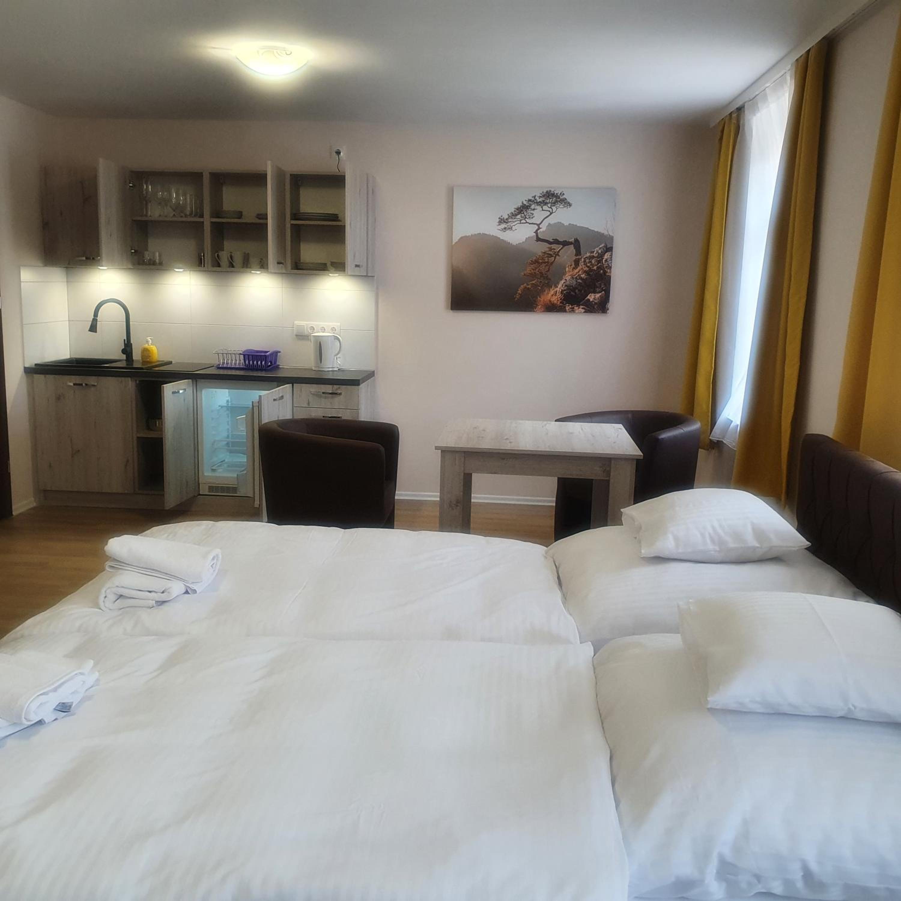 Studio Apartment