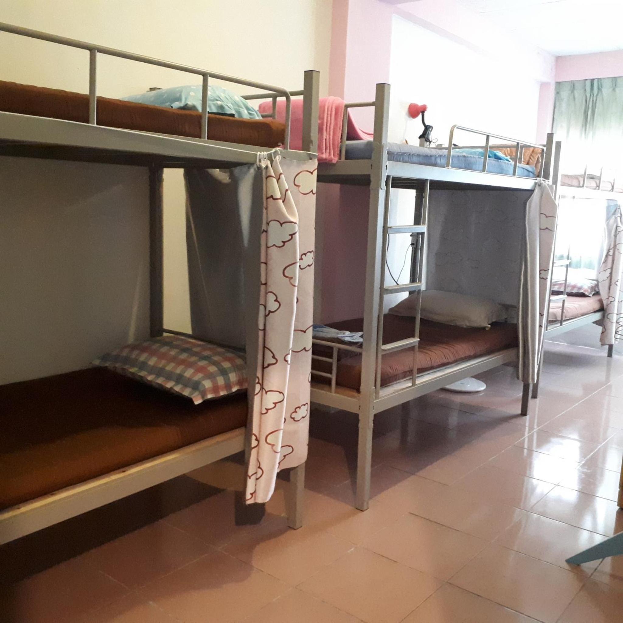 Bed in 6-Bed Female Dormitory Room photo 3