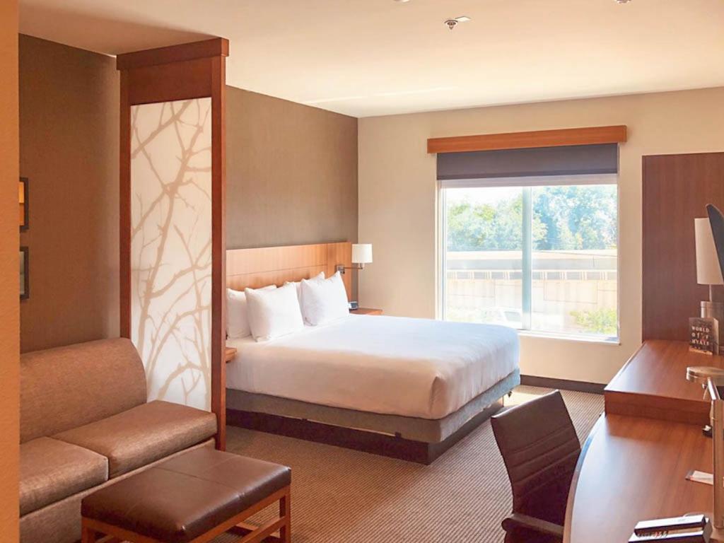 Standard King Room with Sofa Bed photo 1