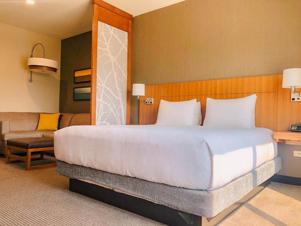 One-Bedroom King Suite with Sofa Bed photo 1