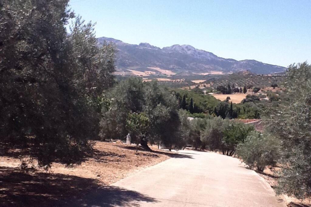 Villa photo 2