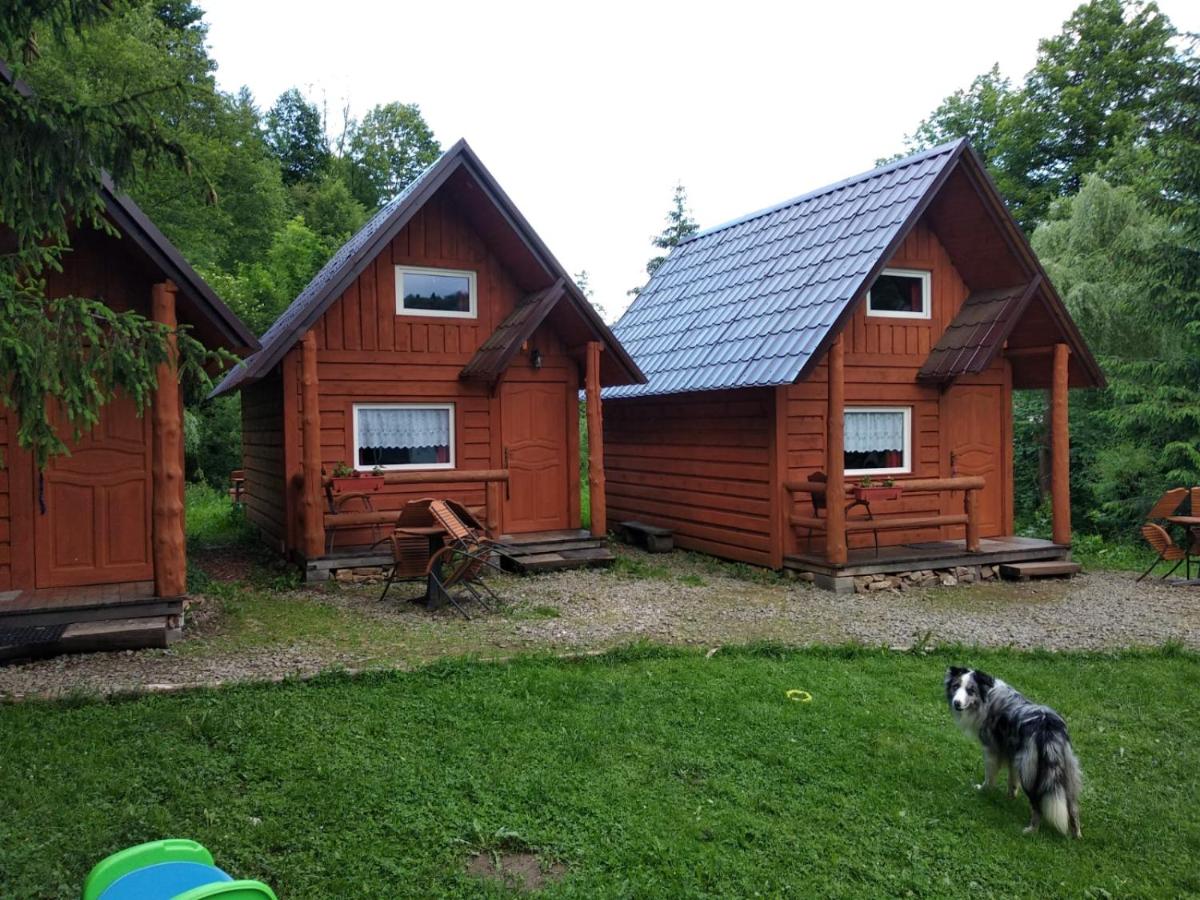Chalet photo 1