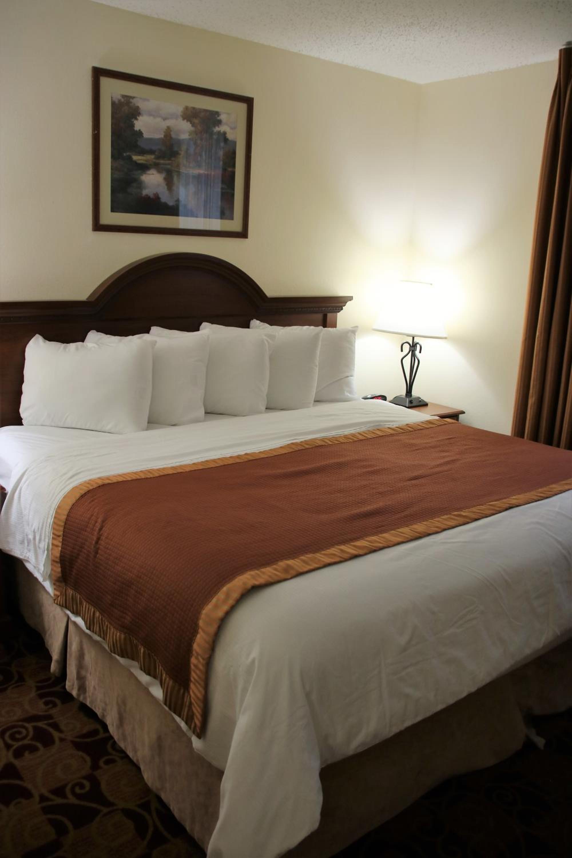 One-Bedroom King Suite - Non-Smoking - Photo 3