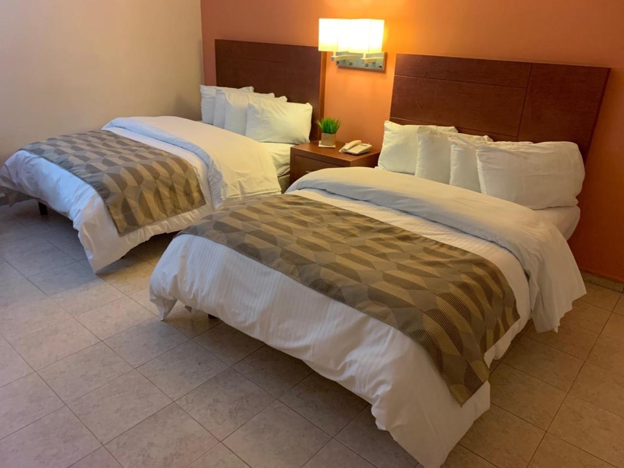 Twin Room photo 3