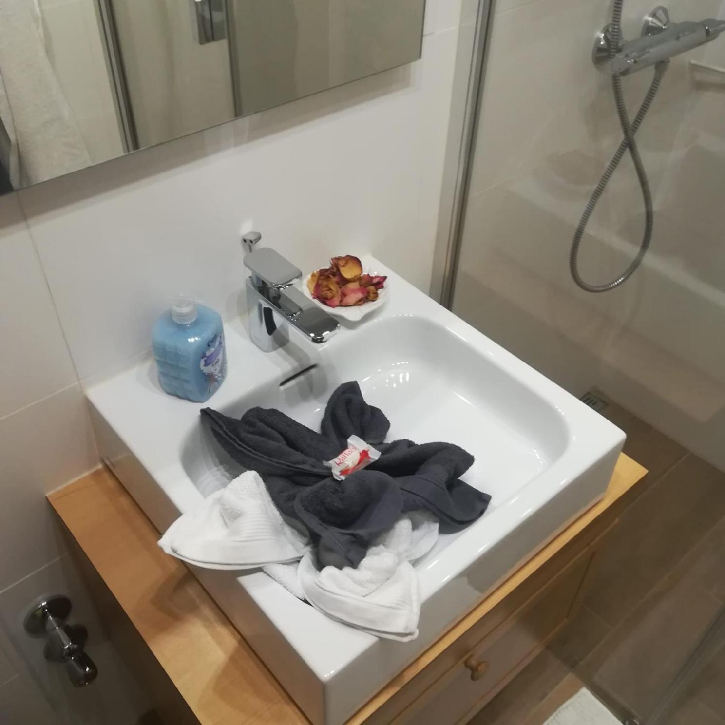 Superior Apartment with Sauna photo 3