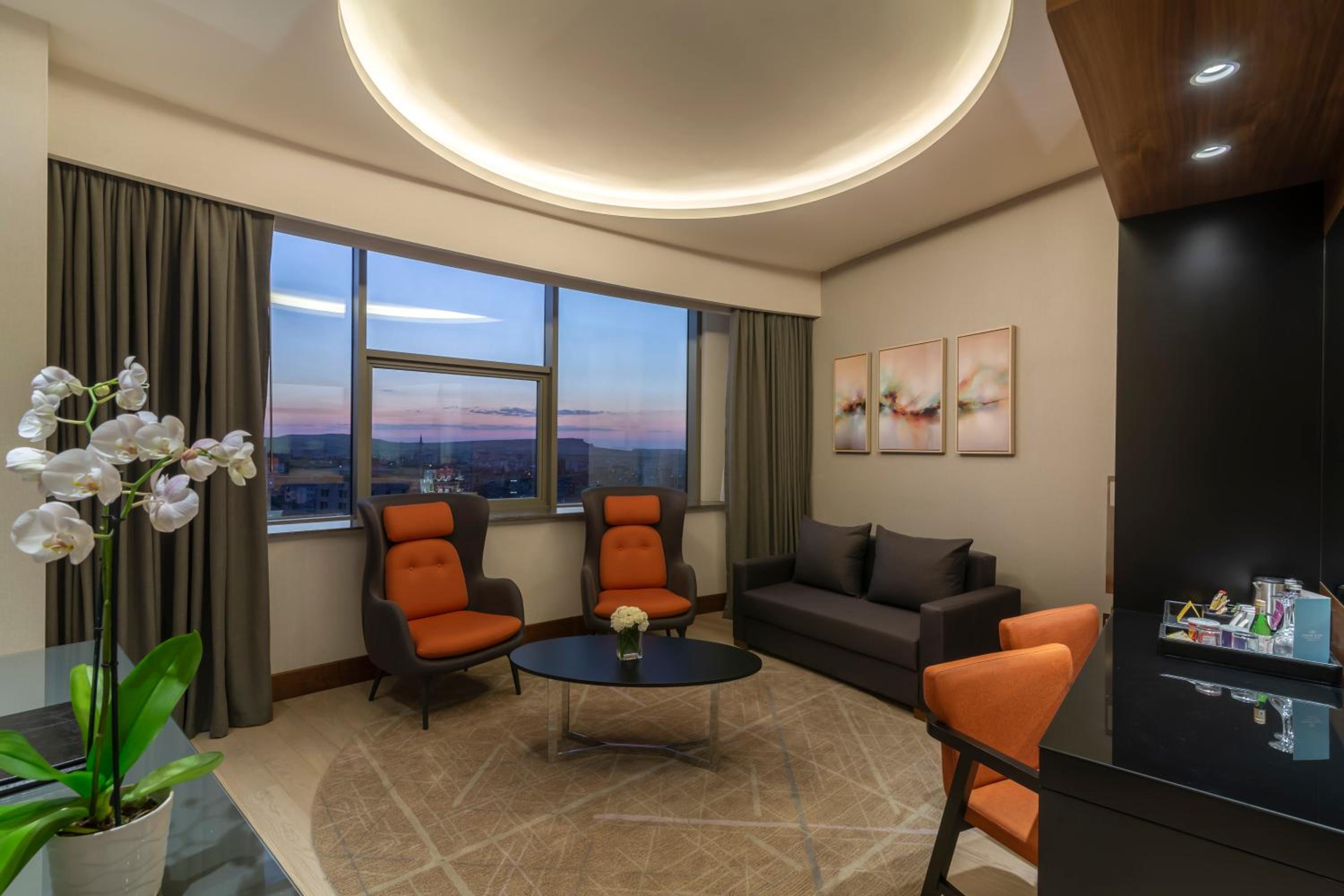 One-Bedroom King Suite with City View photo 3