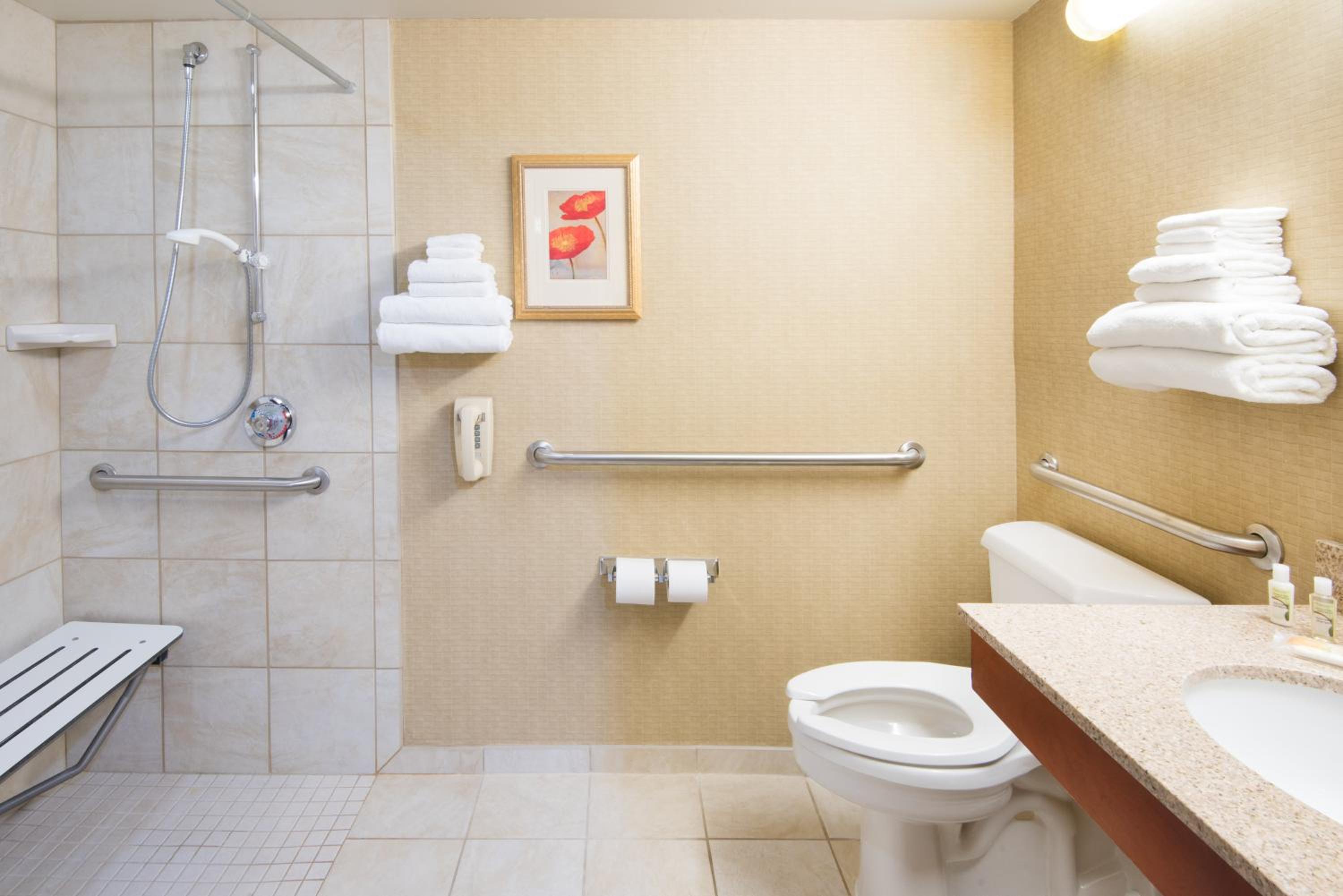 King Room with Roll-In Shower - Disability Access - Photo 3