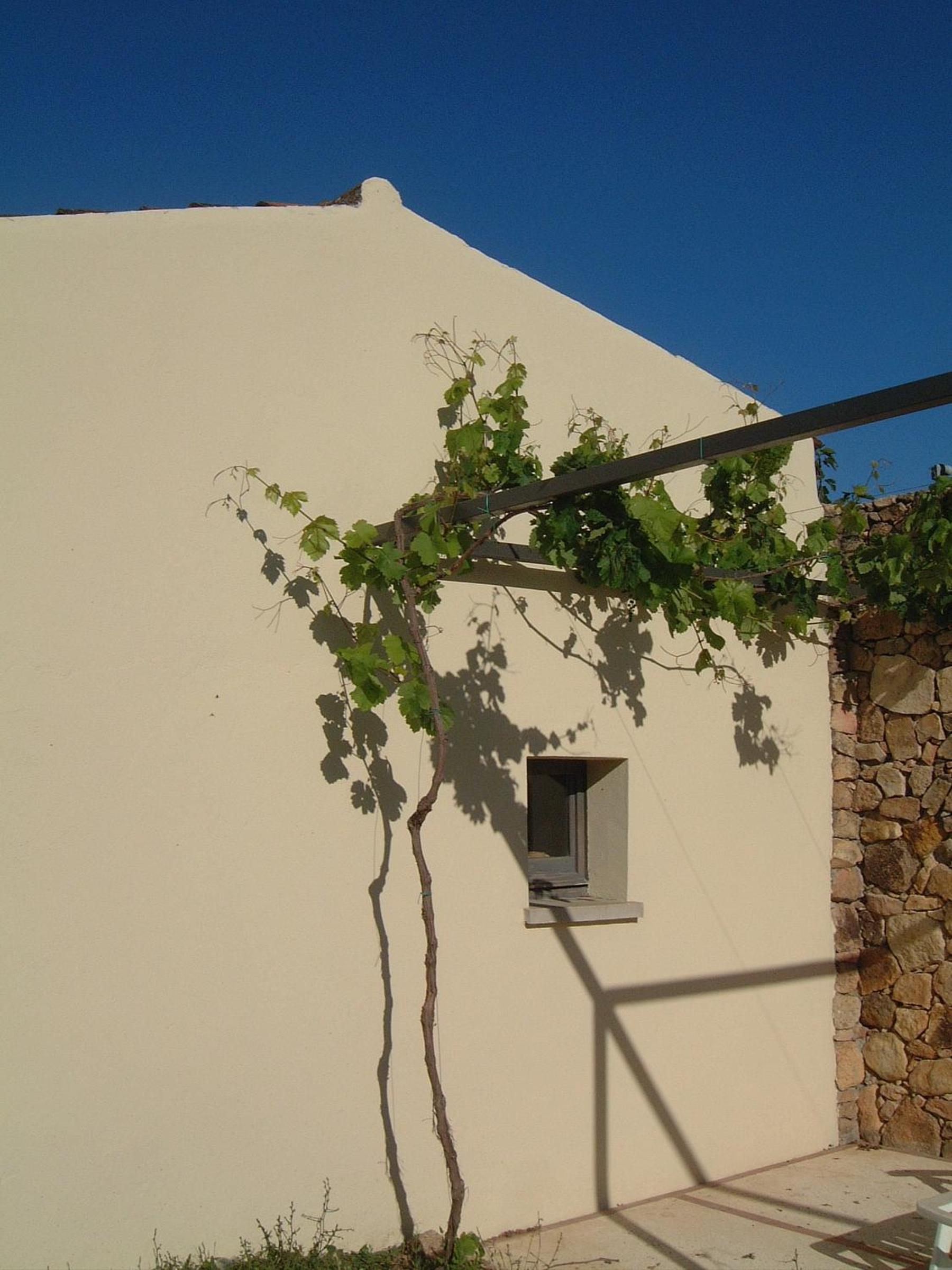 Quadruple Room with Garden View photo 2